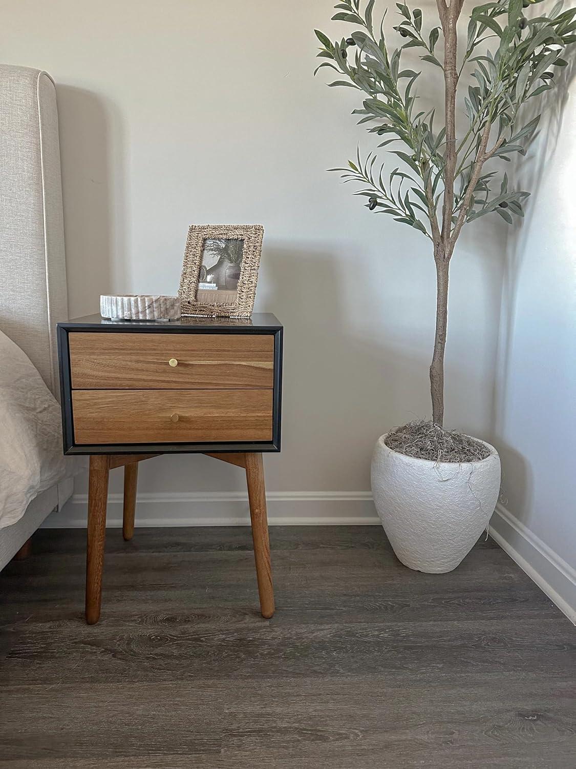 Mid-Century Modern Harper 2-Drawer Side Table in Black and Brown