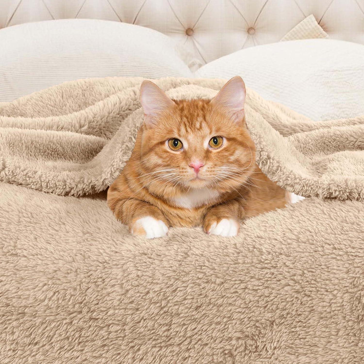 Superior Super Soft Plush Fleece Blanket, Adult/Teen, Throw 50" x 60", Linen