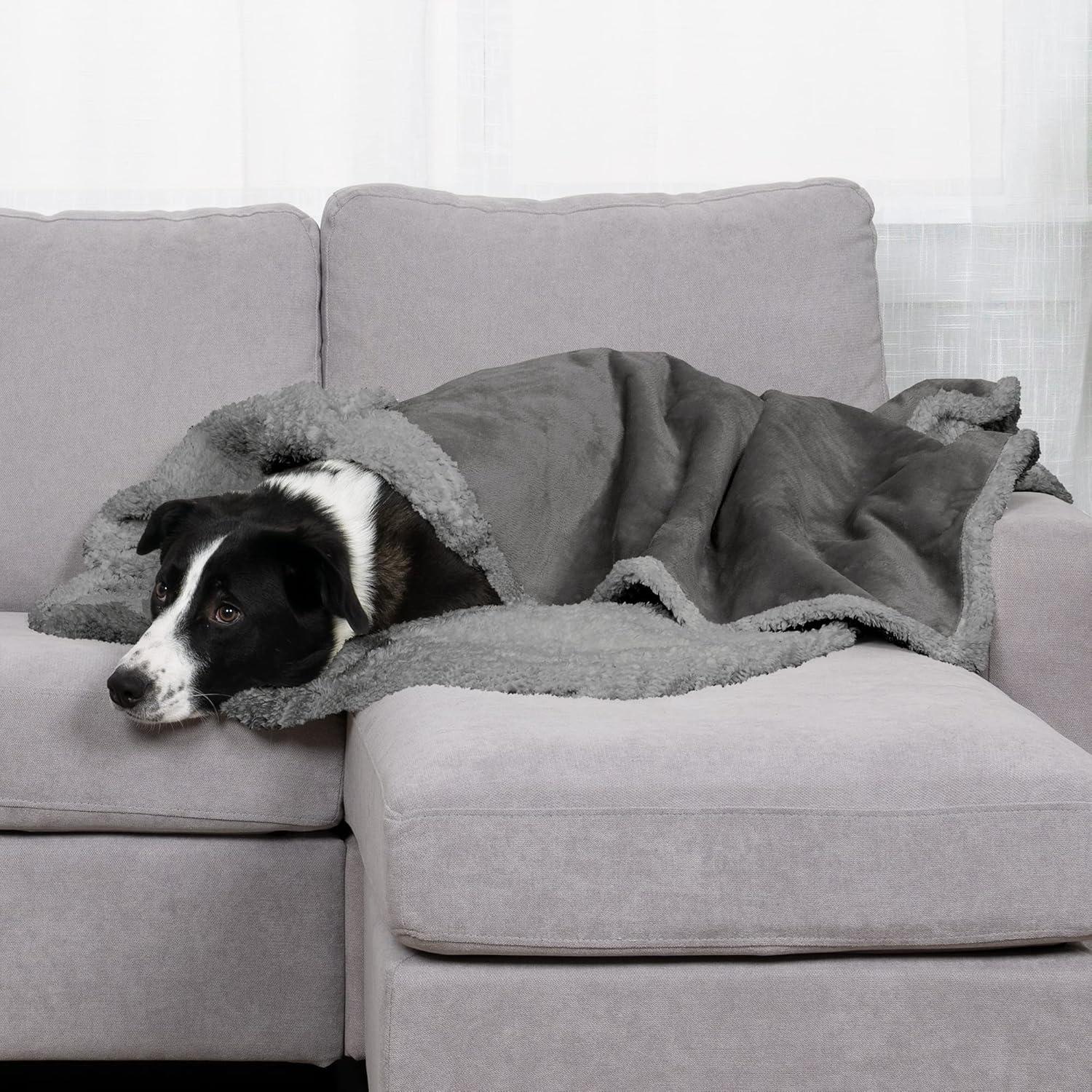 FurHaven Snuggly & Warm Soft-Edge Warming Waterproof Blanket