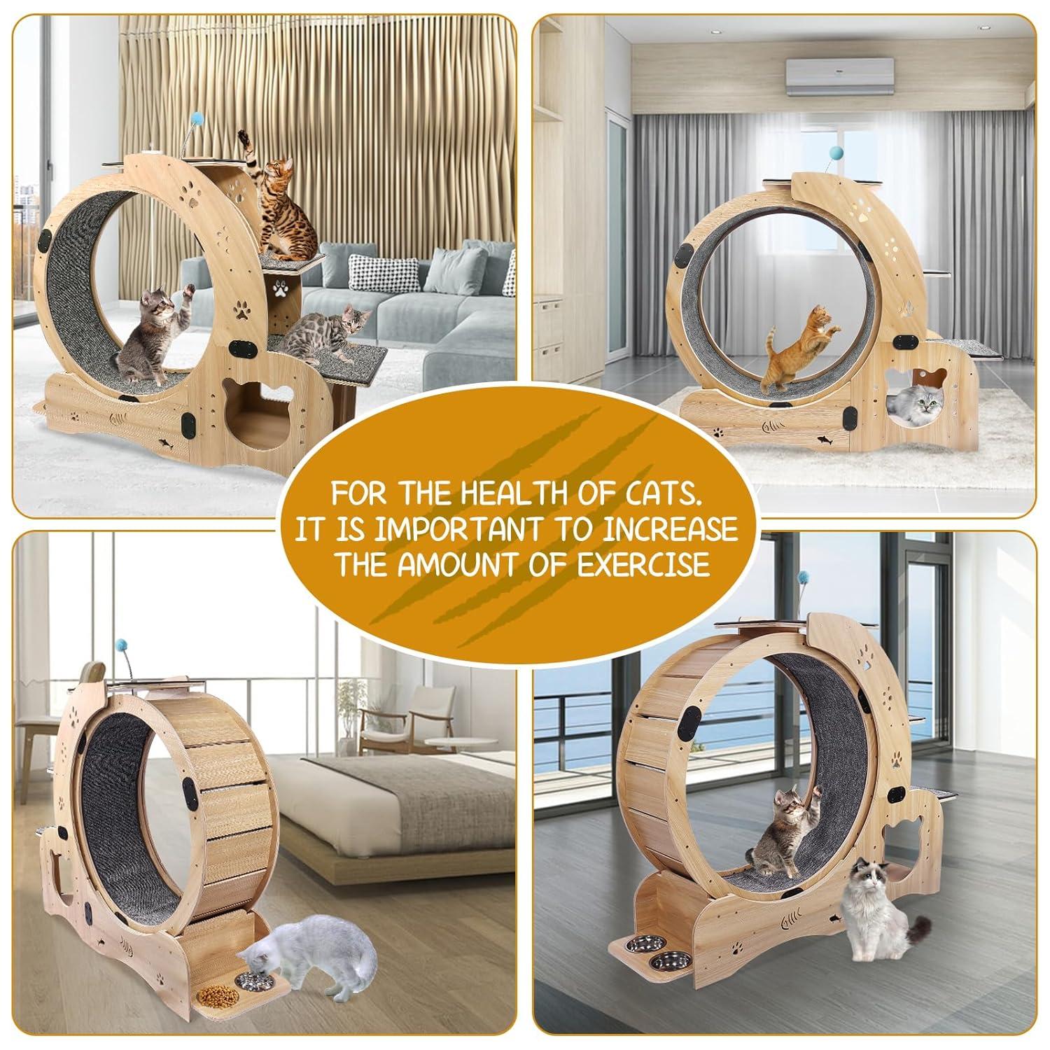 Cat Exercise Wheel for Indoor Cat, 42" Large Diameter Cat Running Wheel, 4-in-1 Cat Exercise Treadmill Wheel with Climbing Ladders & Scratching Board, Ultra Quiet Cat Treadmill Wheel for Daily Fitness