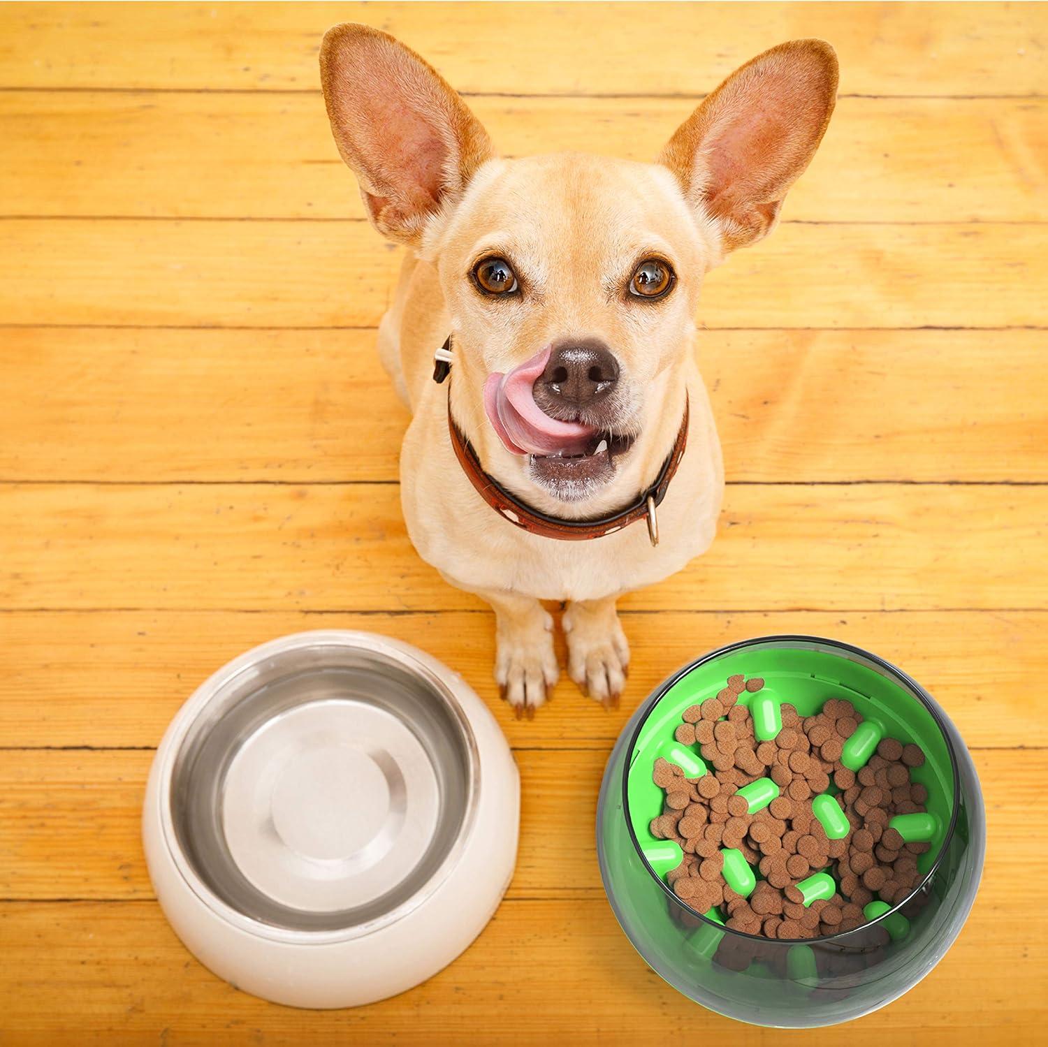 ANYPET Slow Feeder Bowl for Small Medium Dogs Cats, No-Spill Large Capacity Interactive Feeder, Green (APF03G)