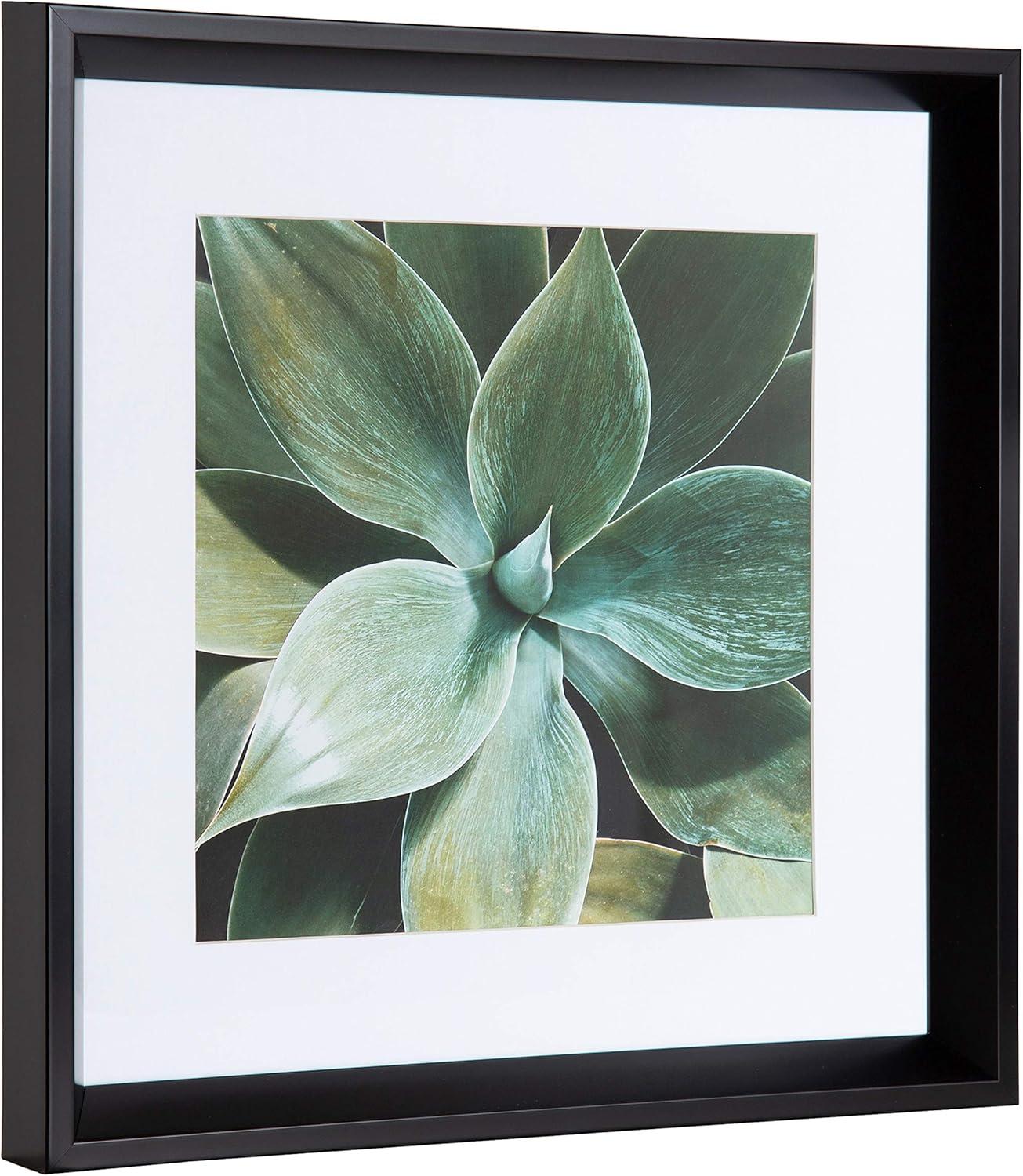 Green Succulent Leaves Framed Canvas Print Set