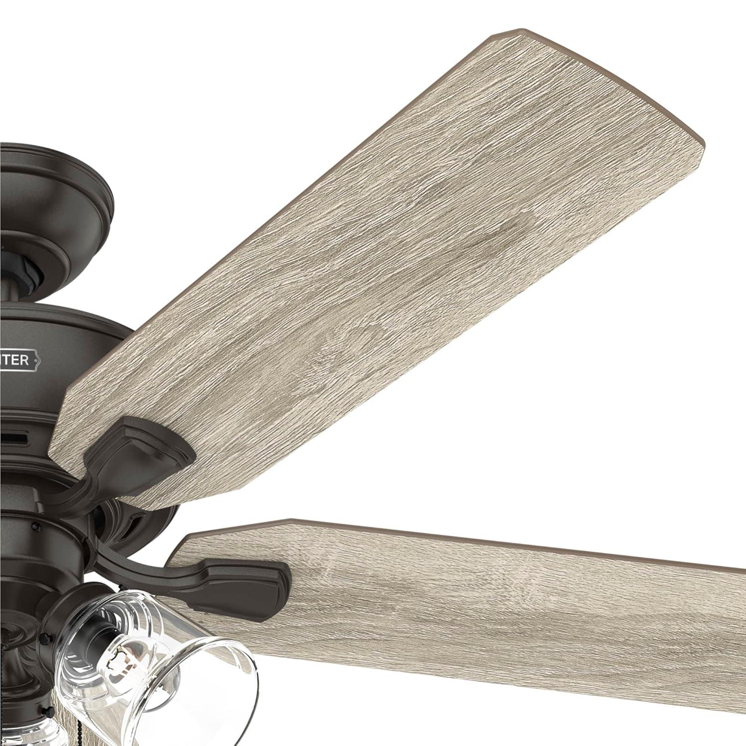 Hunter Fan 52" Rosner 5 - Blade Ceiling Fan With Lights and Pull Chains