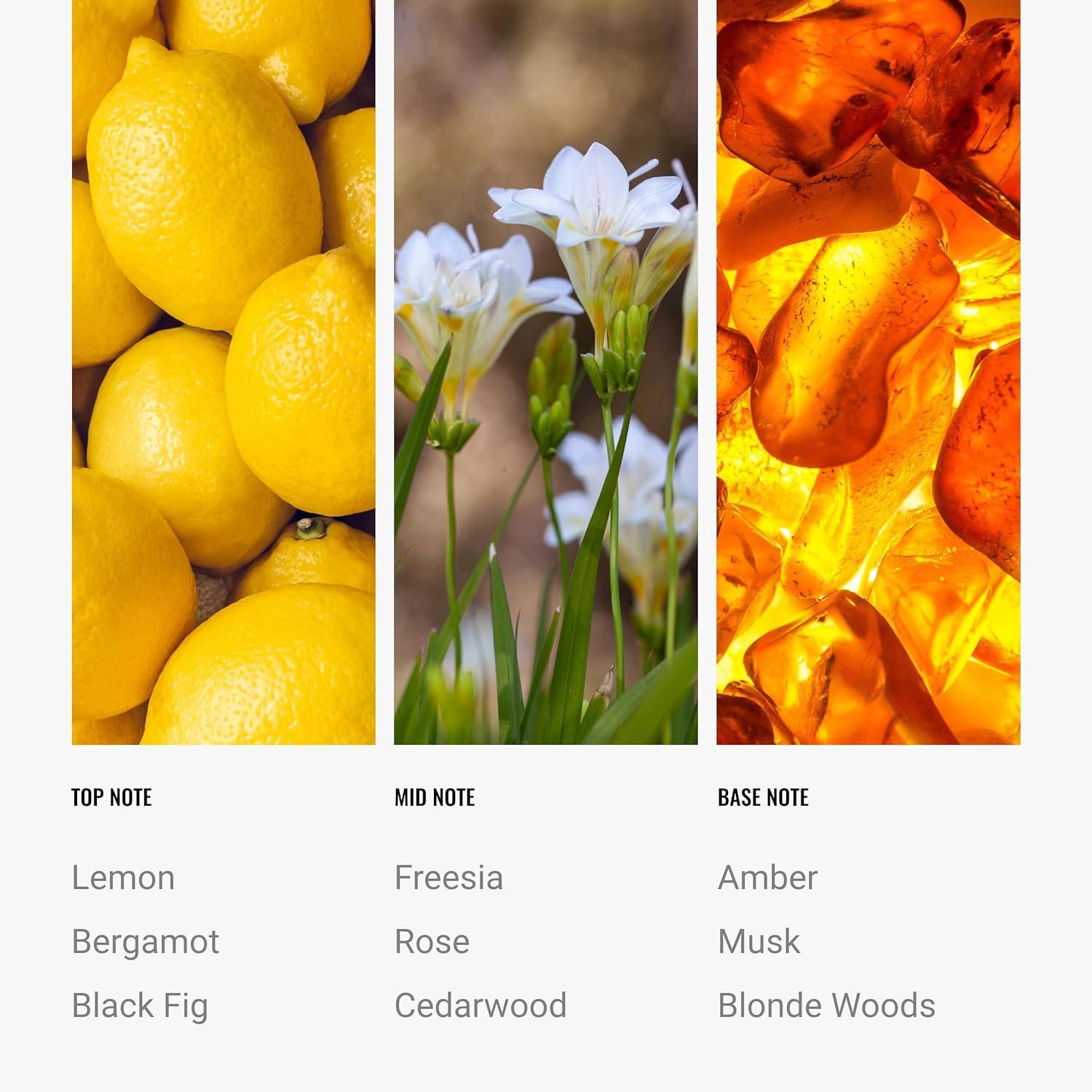 Hotel Collection | Capricorn Pro-Pod Oil Blend | Luxury Hotel Inspired Aromatherapy Scent Diffuser Oil | Lavender, Magnolia and Orris 1.7 fl oz 50 mL