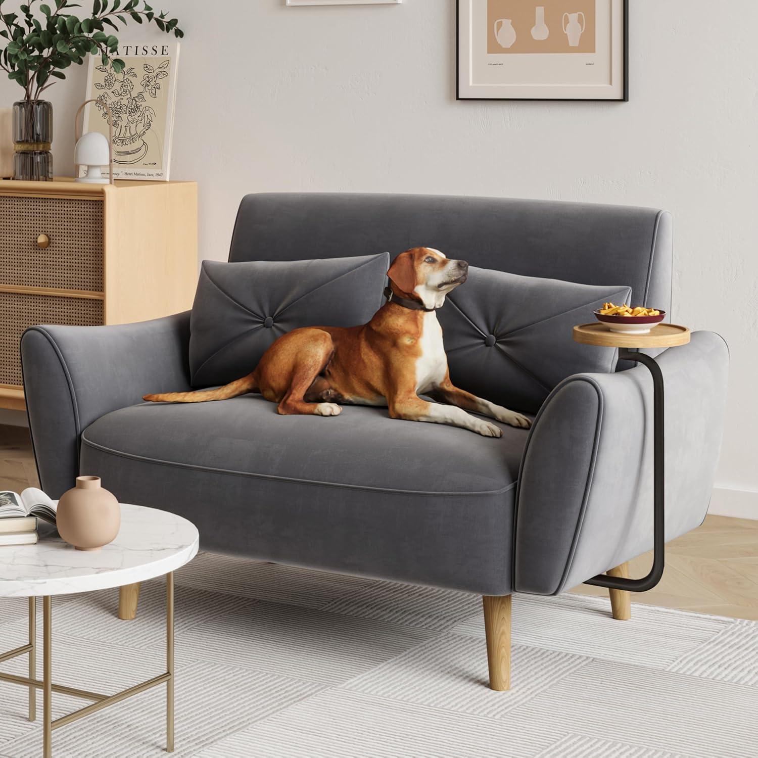 48" Loveseat Sofa，Small Sofas for Small Spaces，with 2 Pillows Convertible Sofa，for Living & Room，Children's Room，Apartment, Studio, Grey