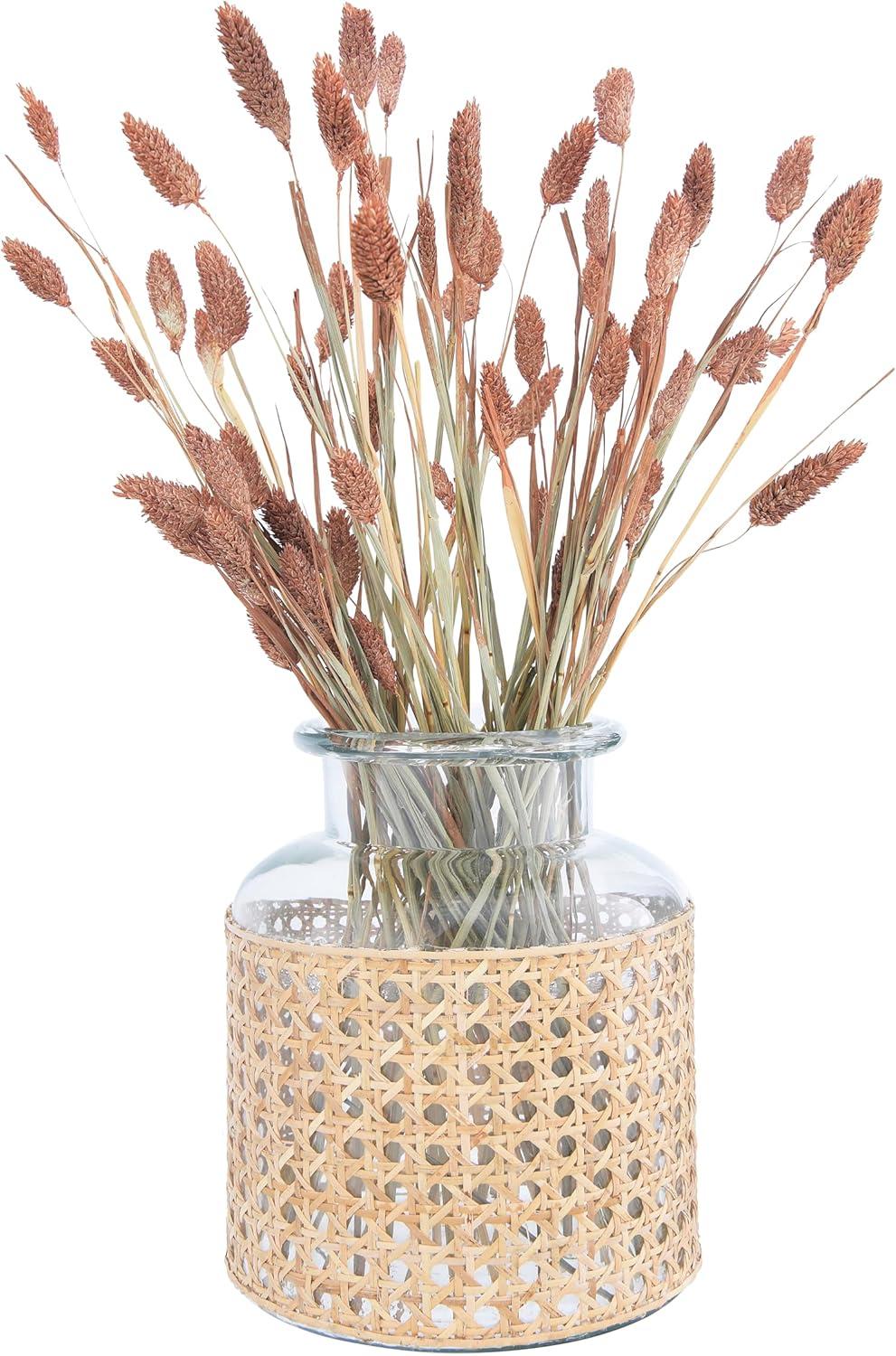 Bloomingville Round Glass Jar Vase with Decorative Cane Sleeve, Clear and Natural