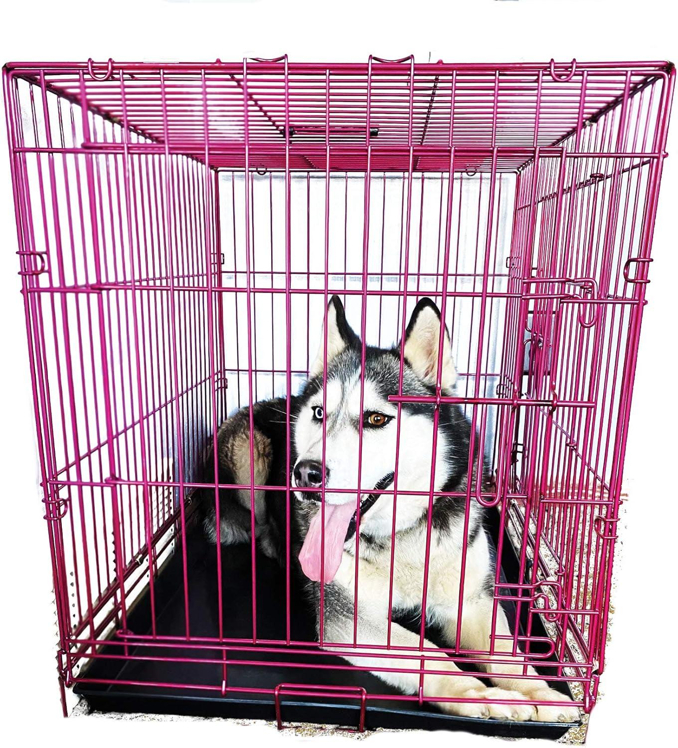 Pet Expressions 36 Inch Pink Colored Metal Wire Dog Crate - Available in Various Sizes and Colors