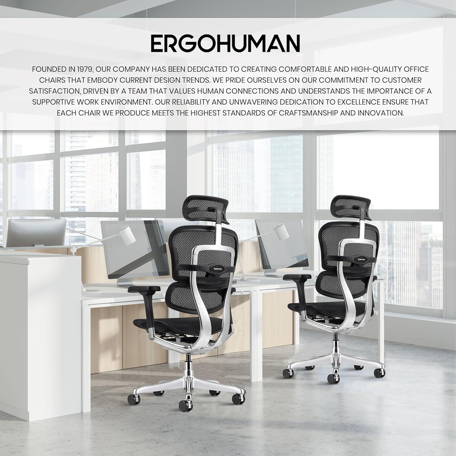 Eurotech Seating Ergohuman Executive Chair with Headrest