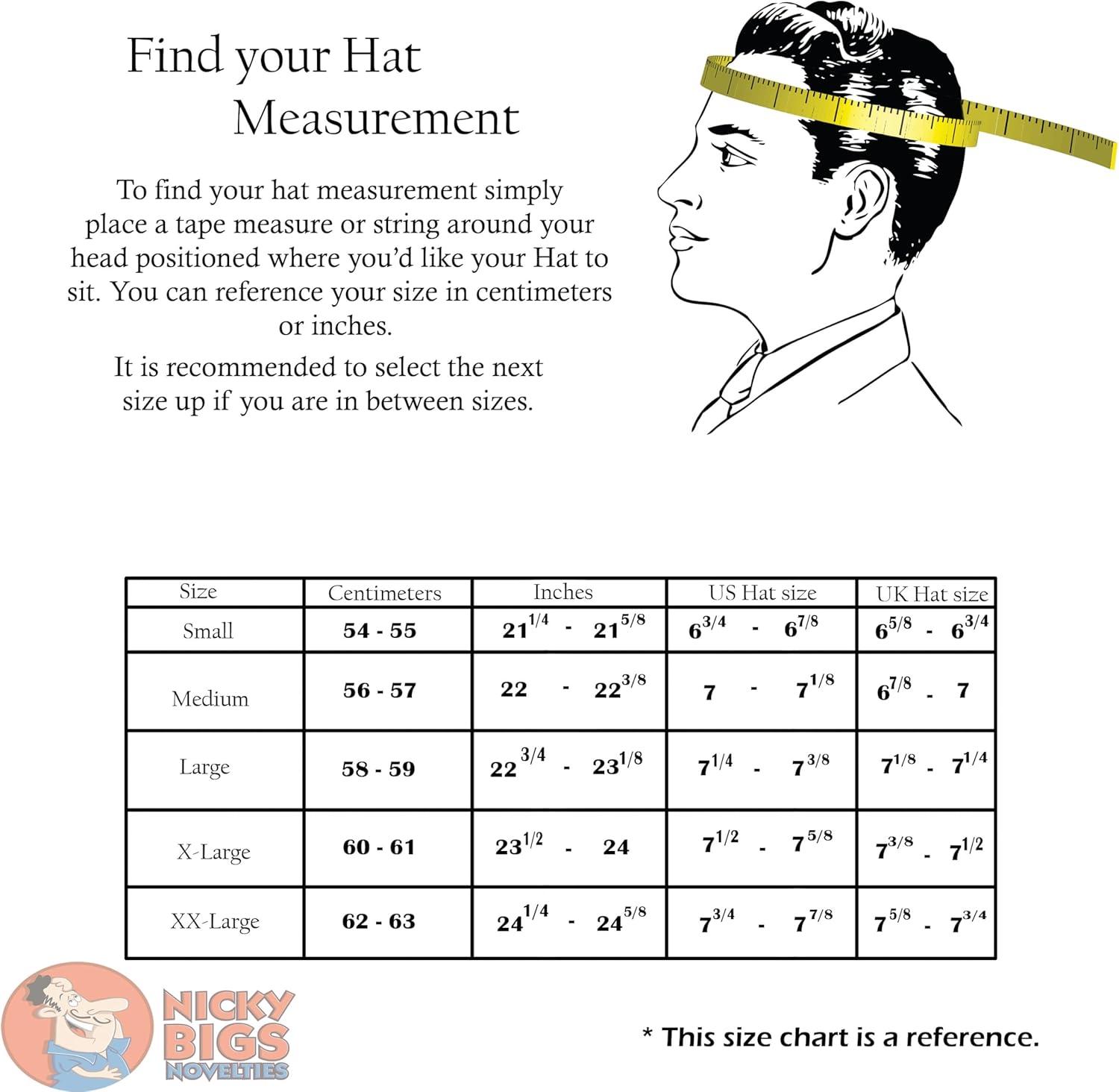 Nicky Bigs Novelties Adult 16th Century Silver Knight John Smith Conquistador Hat Helmet Costume