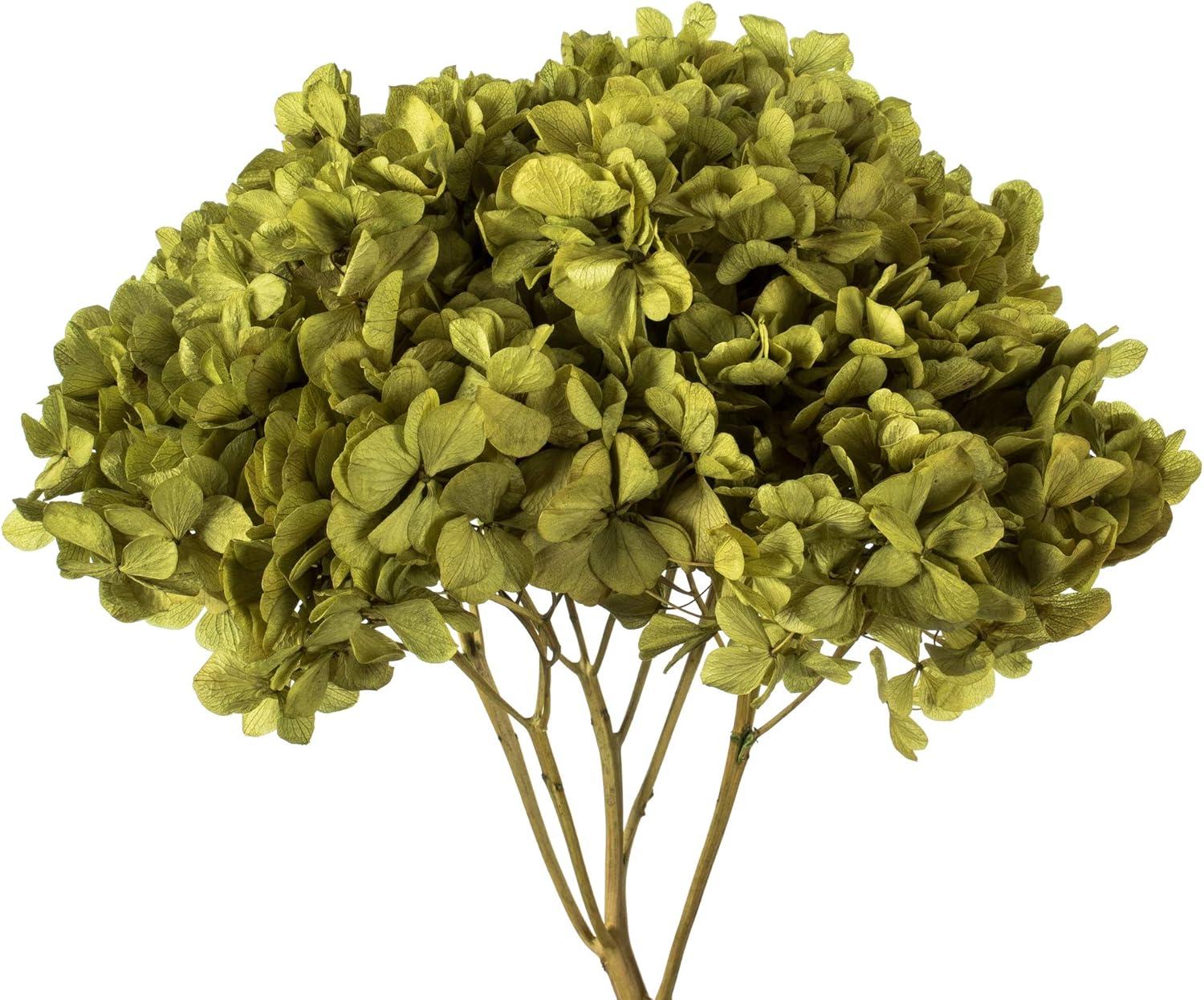 Vickerman 15" Antique Moss Hydrangea with Multiple Branch Segments. Preserved