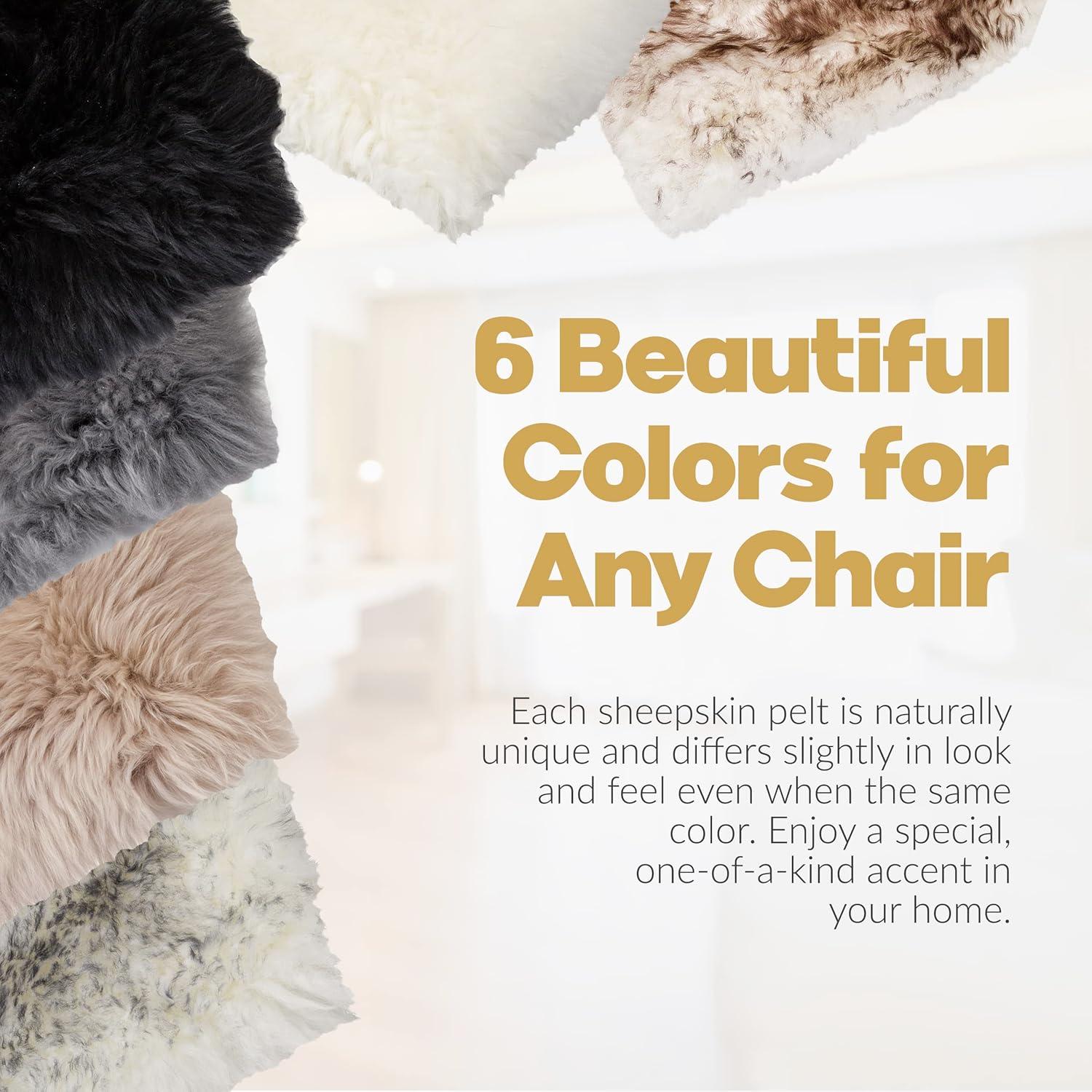 Natural New Zealand Sheepskin Chair Pad | 4-Pack | Natural | 17"x17"