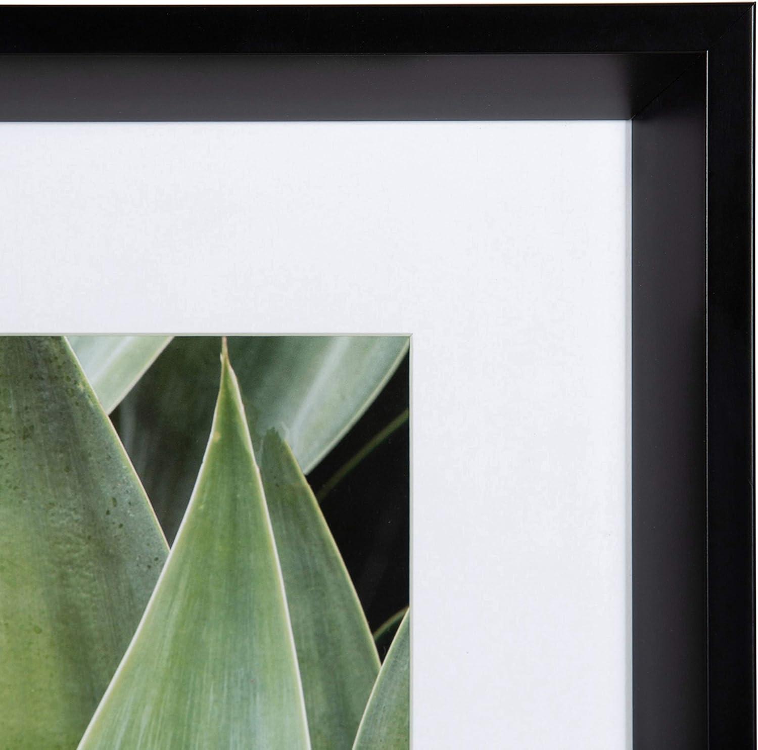 Green Succulent Leaves Framed Canvas Print Set