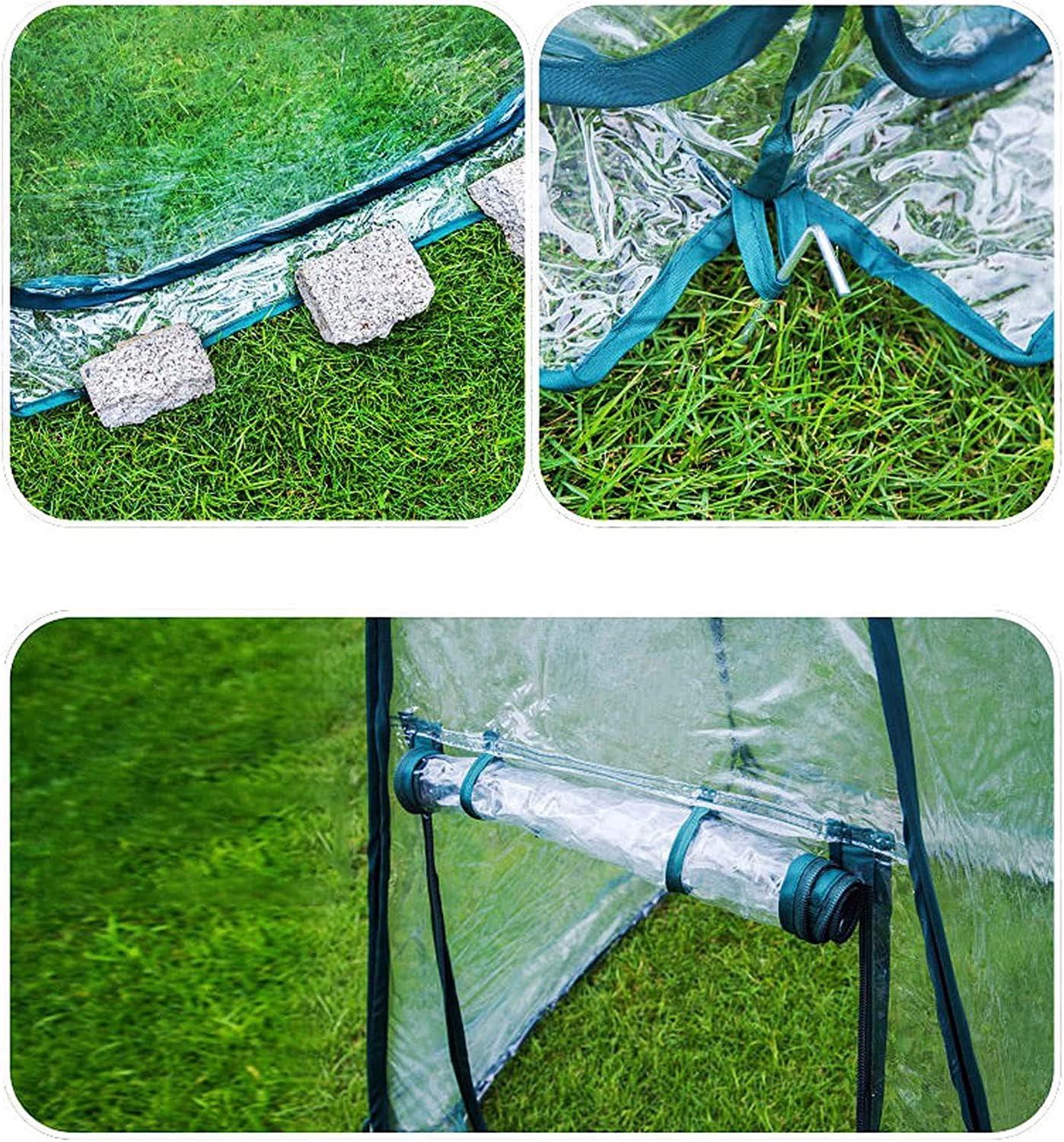 Easy Set-up Mini Greenhouse Pack of 2 Mini Pop up Flower House Backard Garden Plant Cover for Cold Forst Protection PVC Sunshine Room with Stakes and Carrybag (27" L x 27" W x 31" H)
