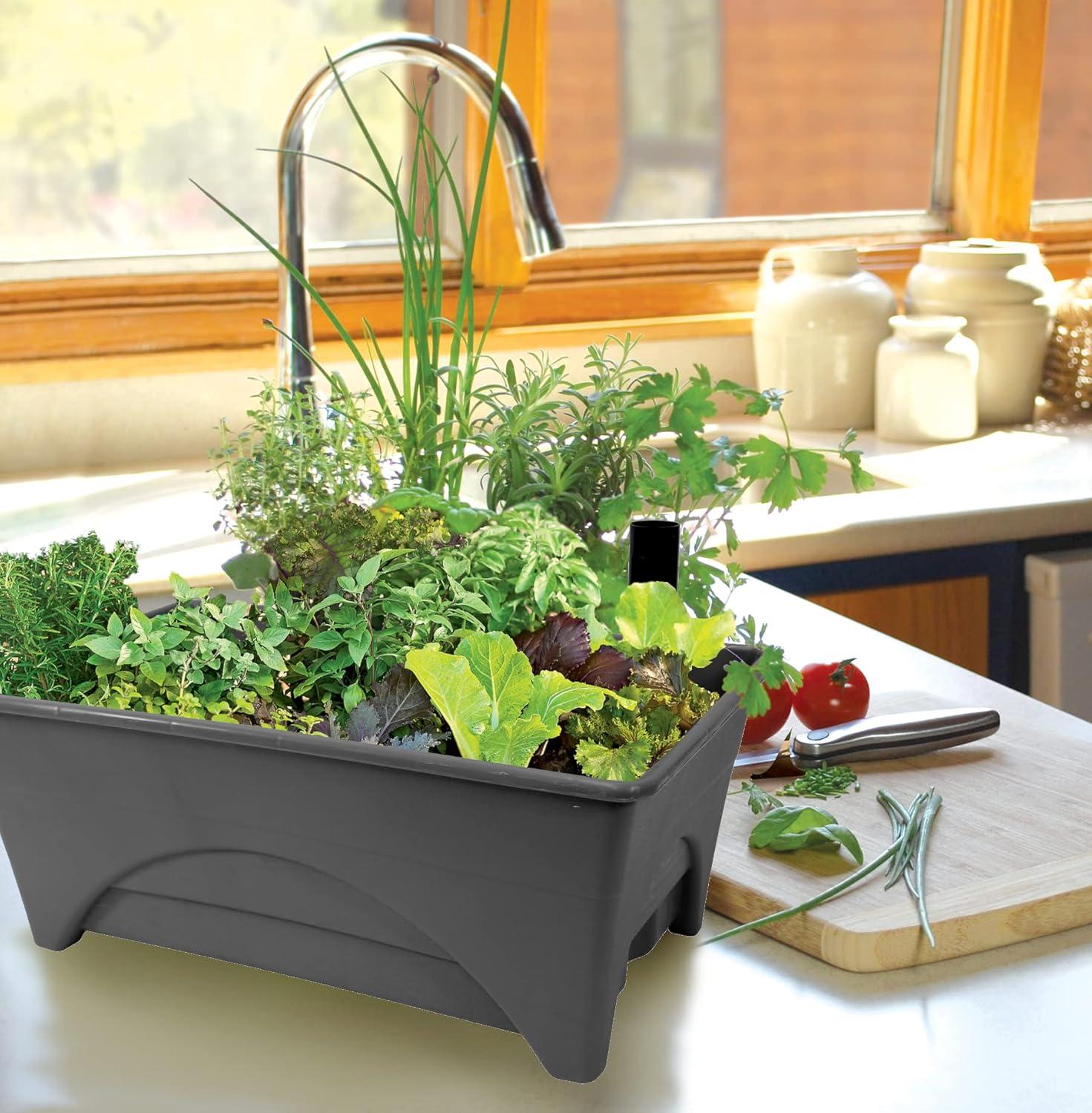 Emsco Group Start Pickin' 13" x 20" x 10" Brown Polyethylene Planter Boxes with Self-Watering (2 Piece)