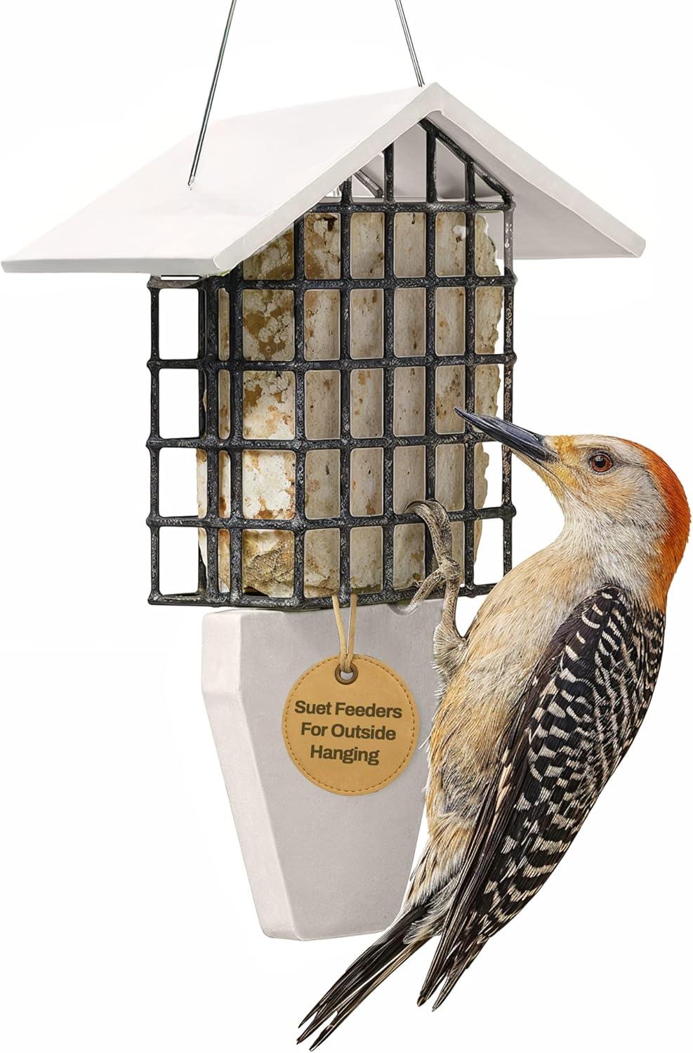 Birds Choice Suet Feeder with Tail Prop for Single Cake in Green Recycled Plastic