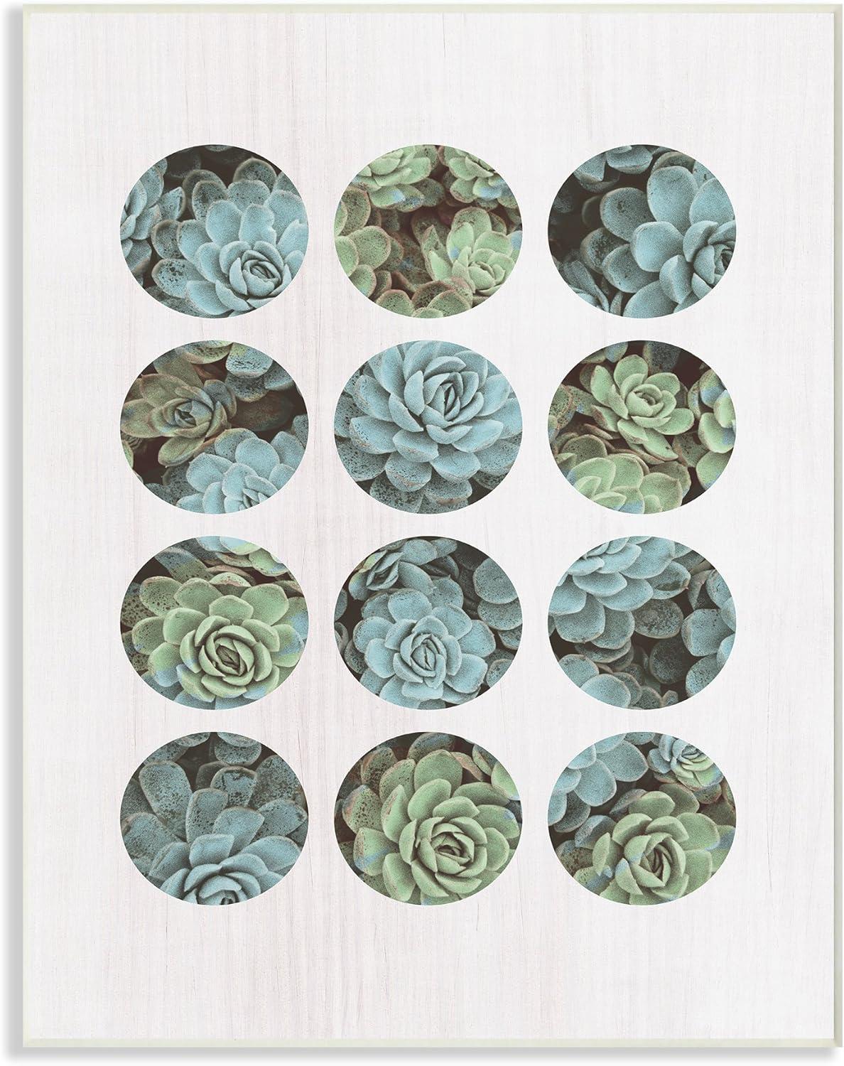 Succulent Circles Contemporary Wood Wall Plaque Art