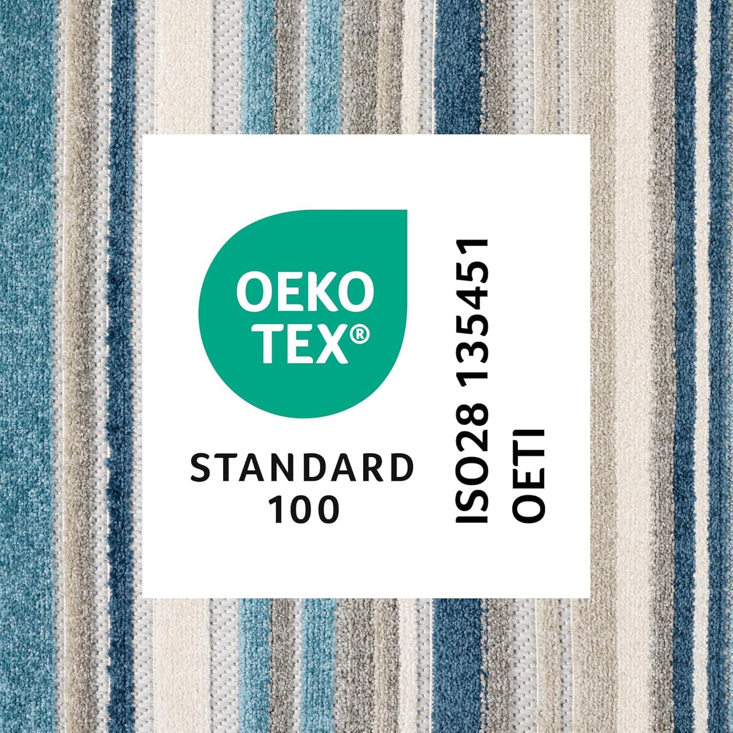 TOWN & COUNTRY EVERYDAY Rio Multicolor Stripe Indoor Outdoor Area Rug, UV Fade Resistant, High-Low Pile, Blue/Multi, 5'2"x7'2"