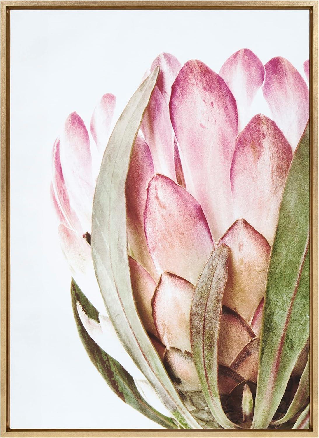 Kate and Laurel Sylvie Pink Protea Flower Framed Canvas Wall Art by Amy Peterson Art Studio, 28 x 38, Gold, Beautiful Wild Flower Art for Wall