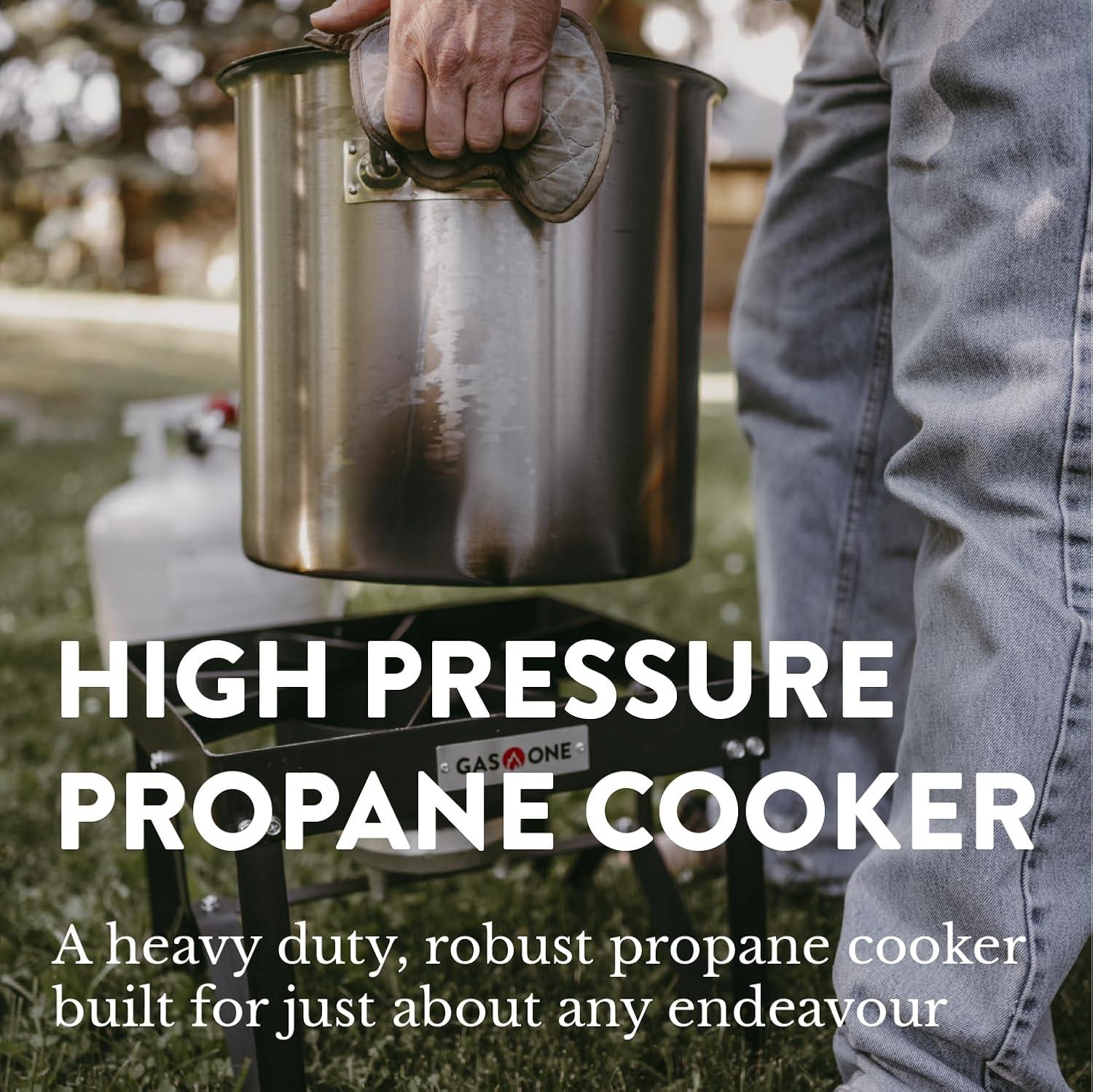 GasOne Propane Gas Outdoor Stove with High Pressure Braided Hose