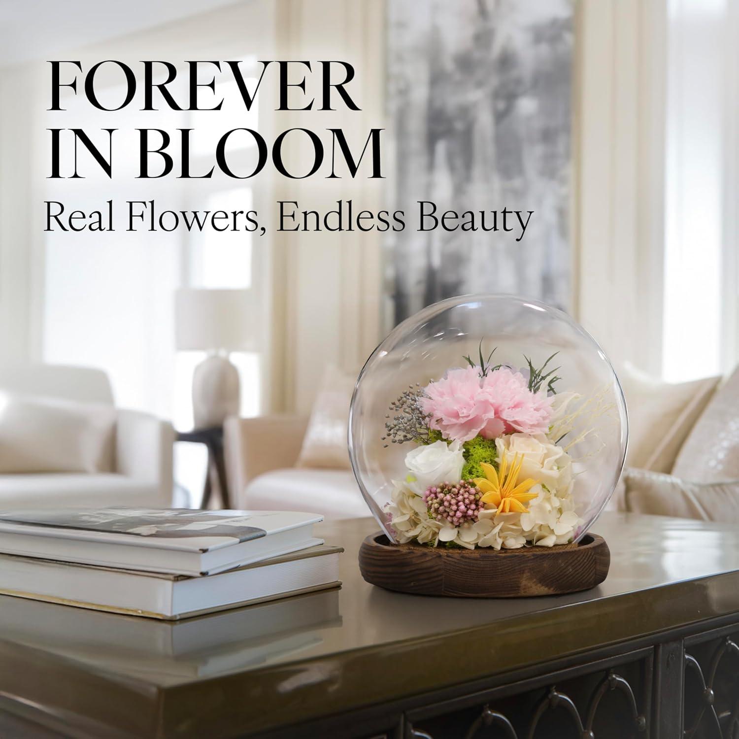 Preserved Flowers Rose in Glass Dome w/Light - Long Lasting Flowers, Flower Gifts for Women for Any Occasion - Home Decor, Comes w/Thick Gift Box - Glass Rose Flowers - White/Pink