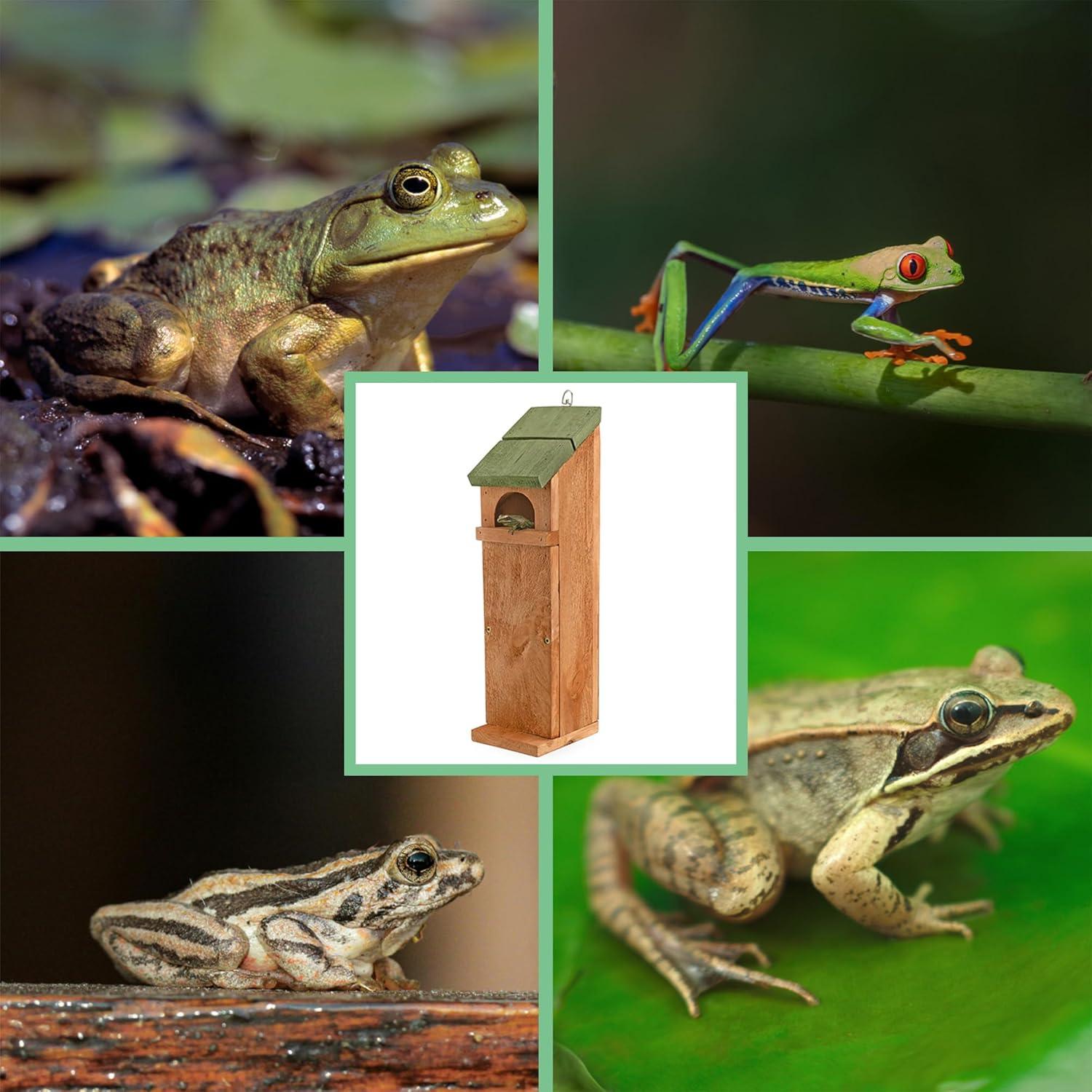 Uncle Dunkels Tree Frog House, Outdoor Tree Frog Habitat, Handmade in the USA