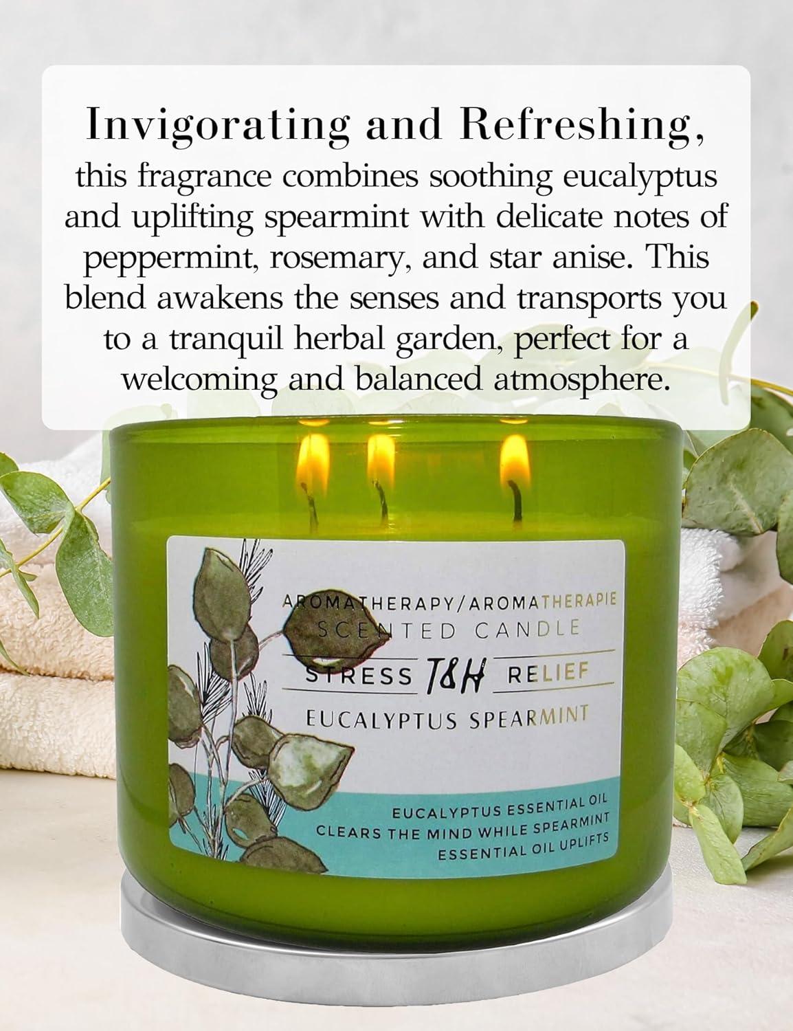 T&H Wholesalers Eucalyptus Spearmint Scented Soy Candle 3 Wick Aromatherapy Candle for Women and Men