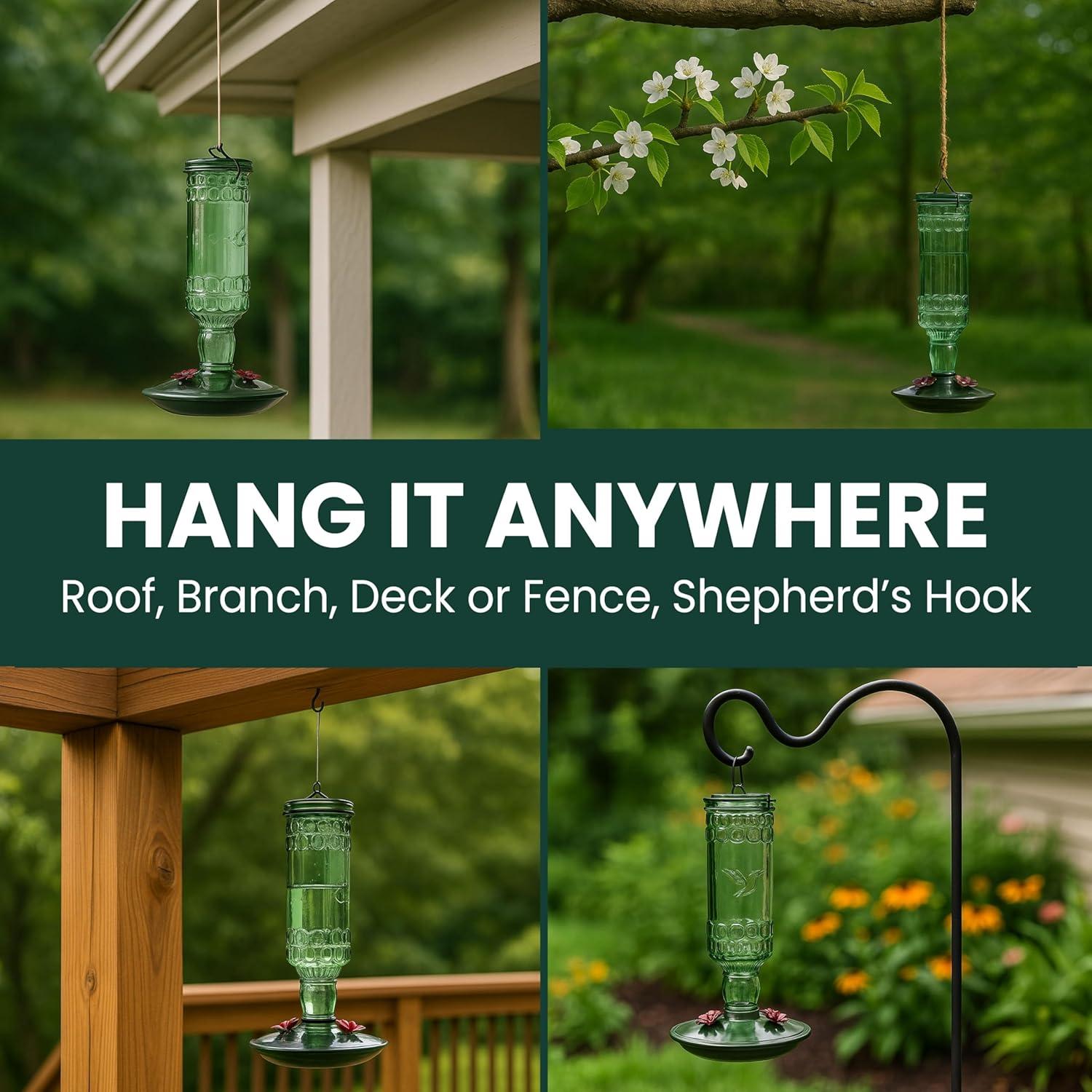 Woodstream Glass Hanging Soda Bottle Feeder