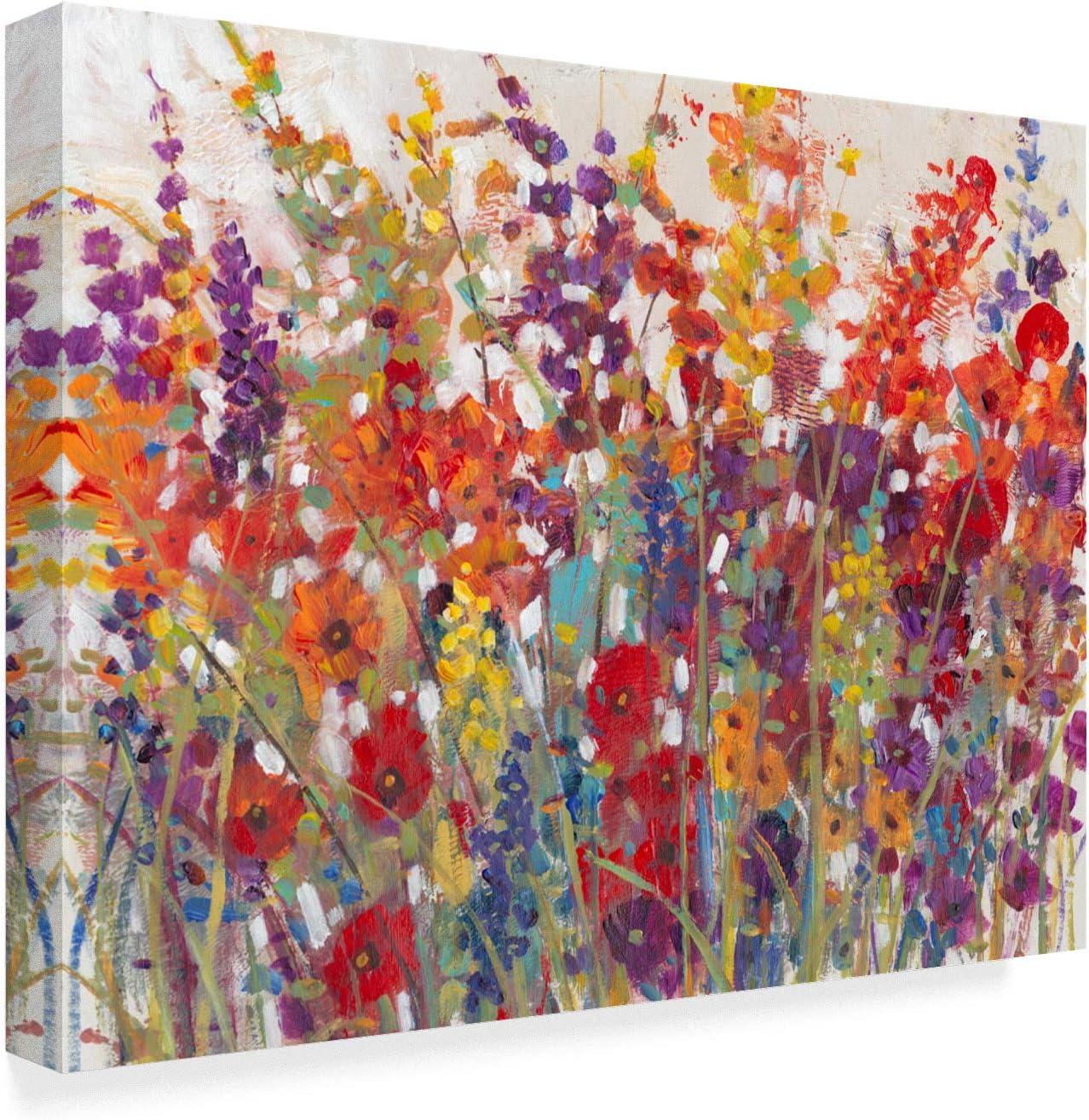 Trademark Fine Art -Tim Otoole 'Variety Of Flowers Ii' Canvas Art