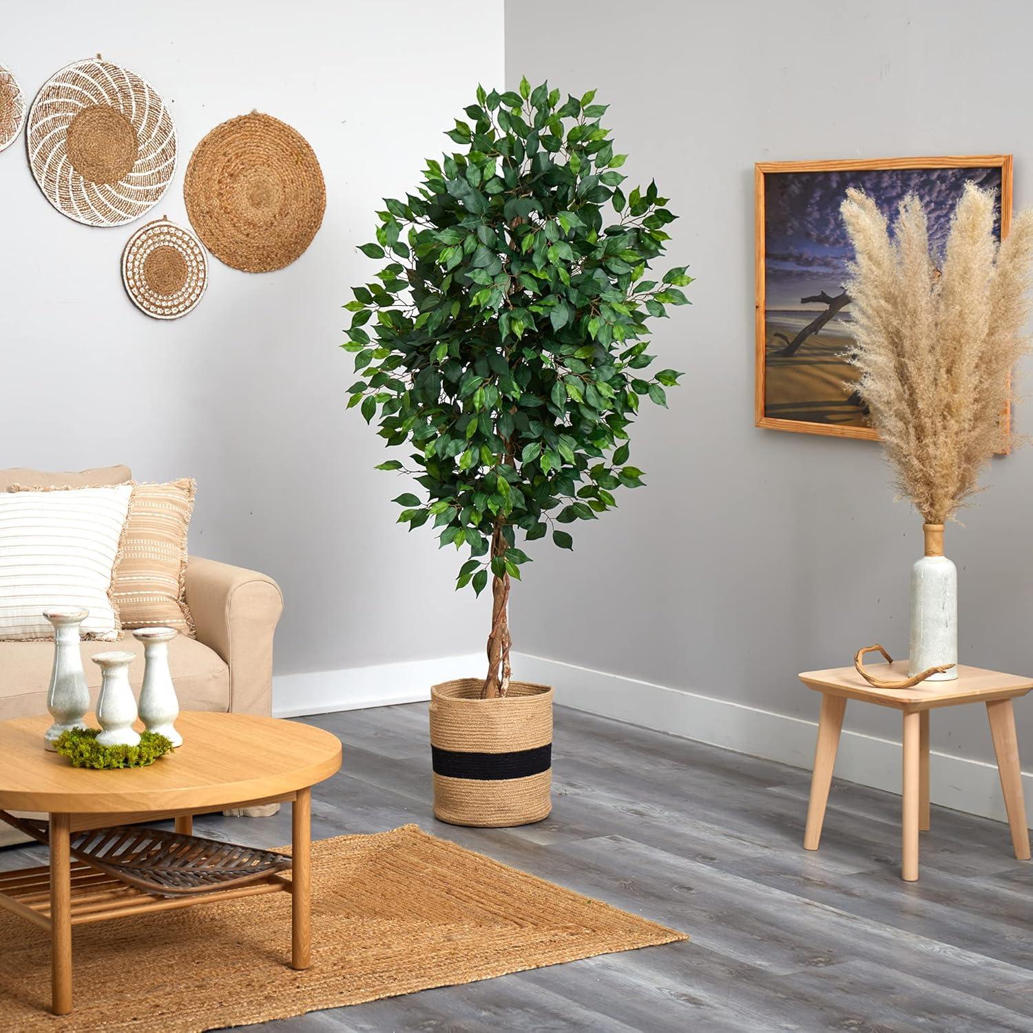 Elegant 6' Ficus Floor Plant in Natural Cotton Planter