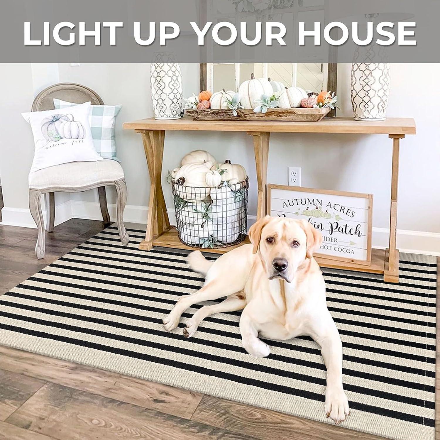 IOHOUZE Navy and White Striped Rug 2'x3' Front Door Rugs, Small Washable Area Rug for Front Porch, Spring Summer Doormats Outdoor Indoor, Cotton Rugs for Entryway Porch Entrance