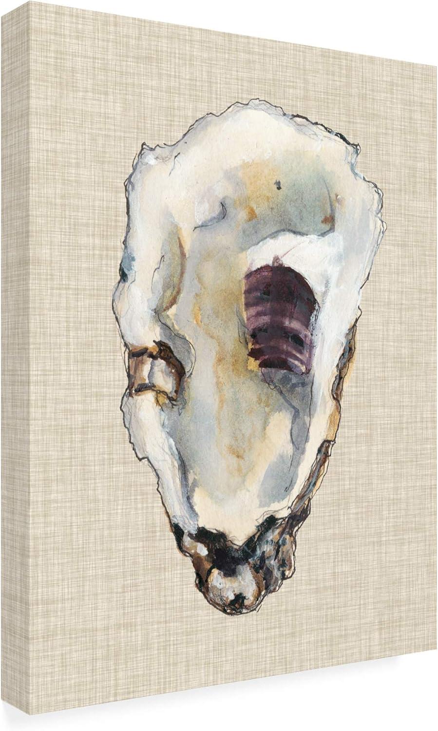 Trademark Fine Art -Michael Willett 'Oyster Shell Study Iii' Canvas Art