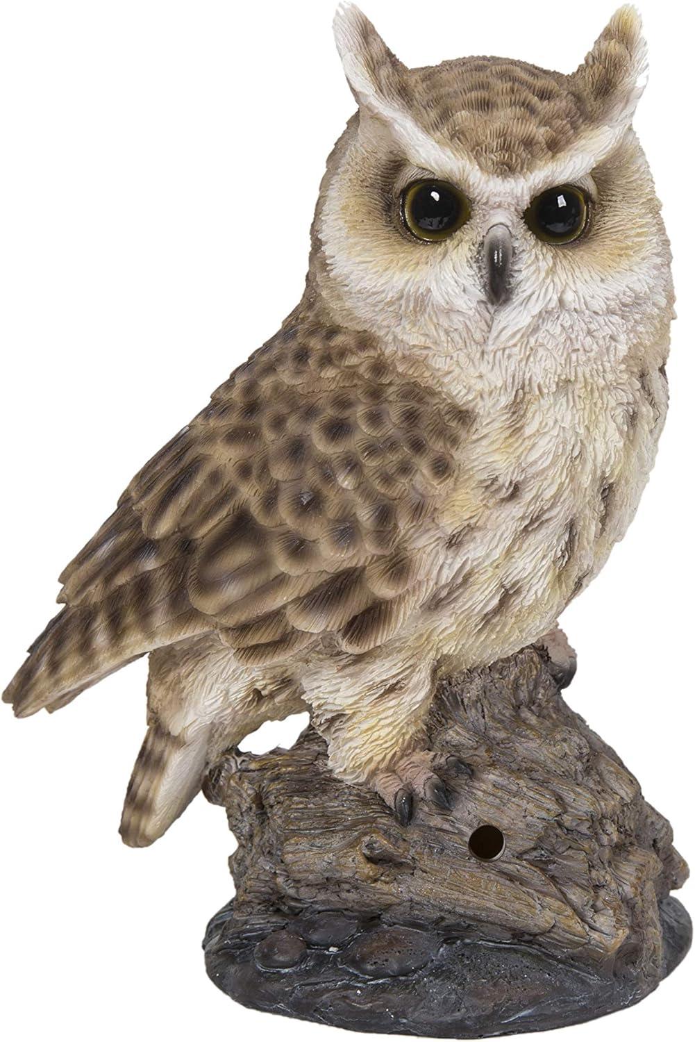 Motion Activated Singing Long-Eared Owlet Standing on Stump