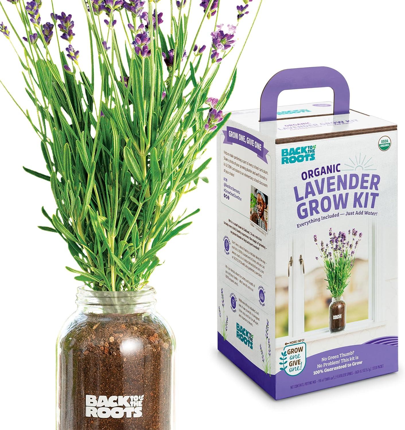 Back to the Roots Organic Lavender Grow Kit