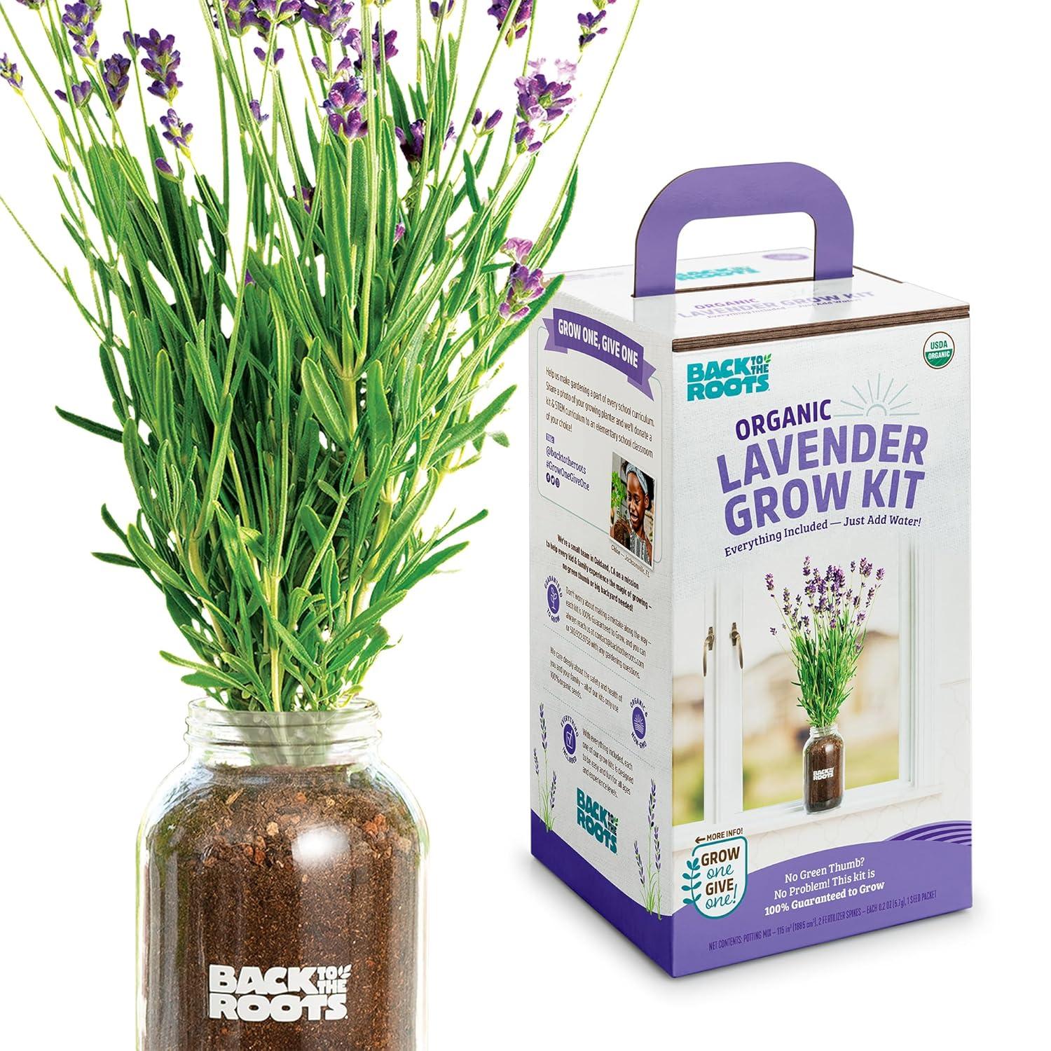 Back to the Roots Organic Lavender Grow Kit
