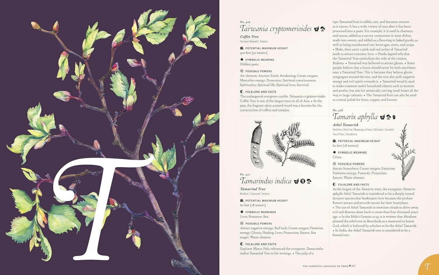 The Complete Language of Trees - Pocket Edition - by  S Theresa Dietz (Hardcover)
