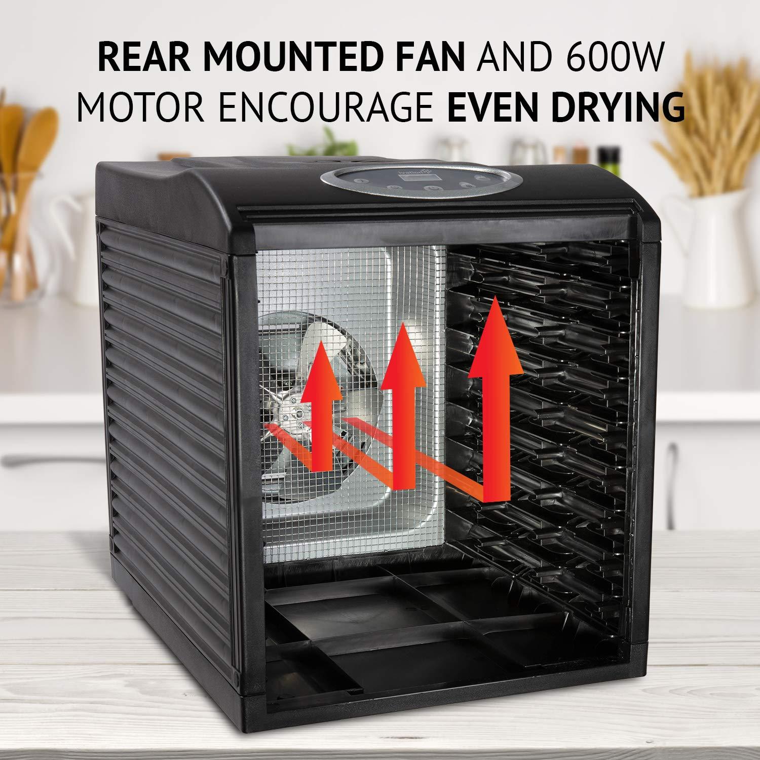 Ivation Ivation 9 Tray 600 Watt Food Dehydrator