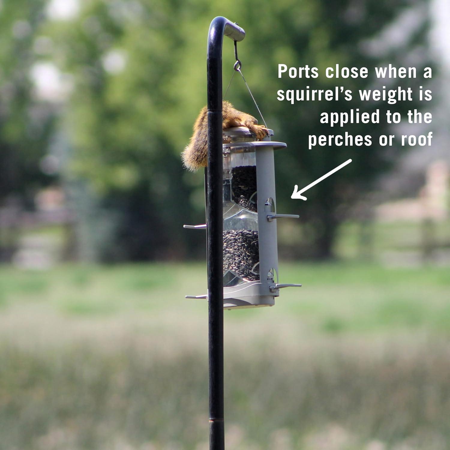 Squirrel-X 11 Gray-Colored X-1 Squirrel-Proof 4.2 Pounds Capacity Bird Feeder