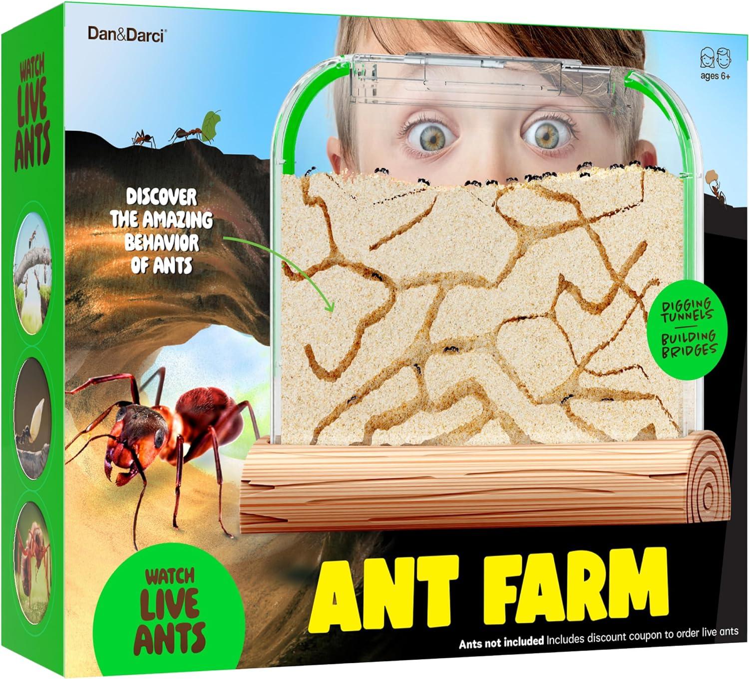 Ant Farm Kit for Kids - Ants Farms Colony - Includes Ant Voucher - Sand Habitat Kits - Bug Terrarium House - Educational Science Gifts for Kids - Nature Learning Toys for Boys, Girls & Adults