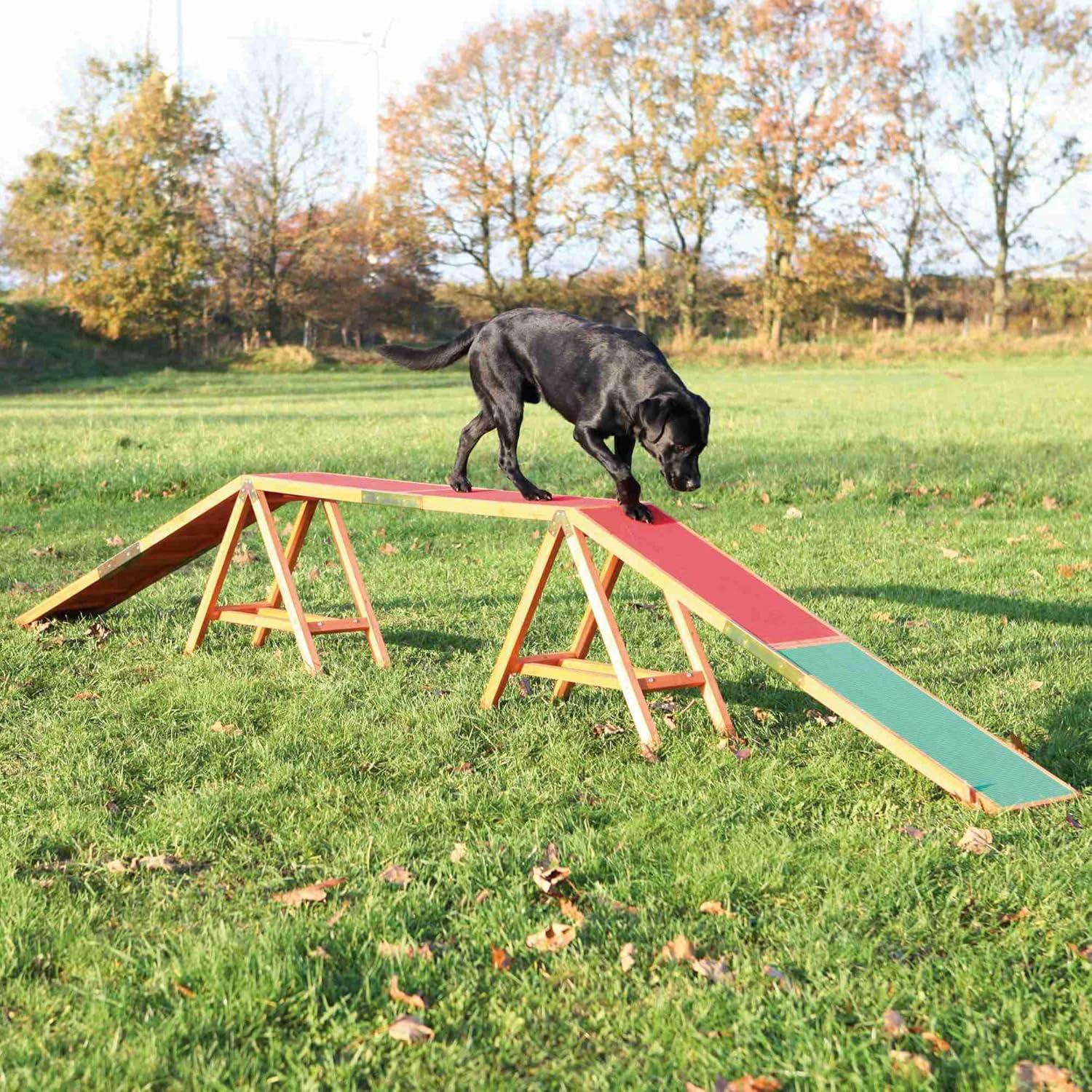 TRIXIE Large Outdoor Dog Agility Training Dogwalk