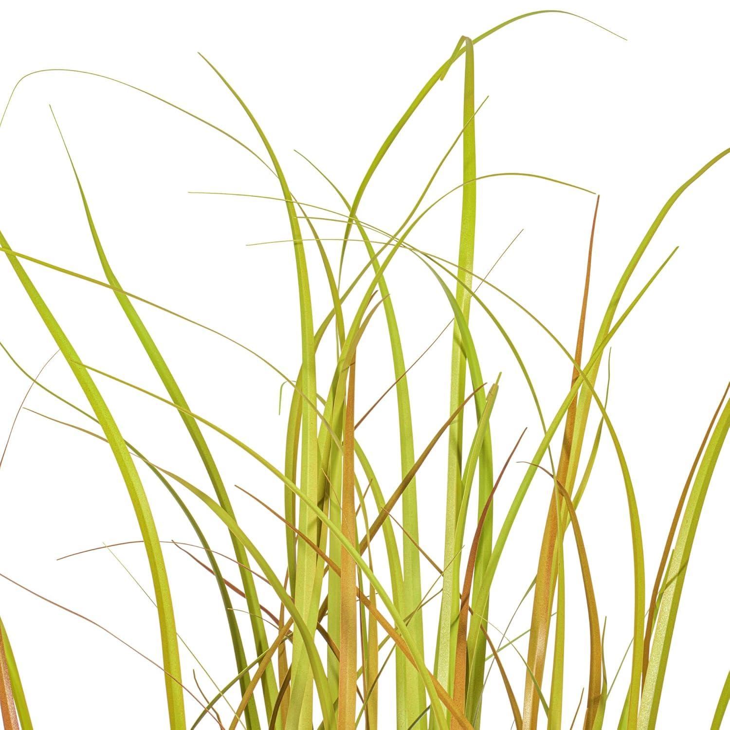 Vickerman TN170848 48 in. Grass in Pot, Brown