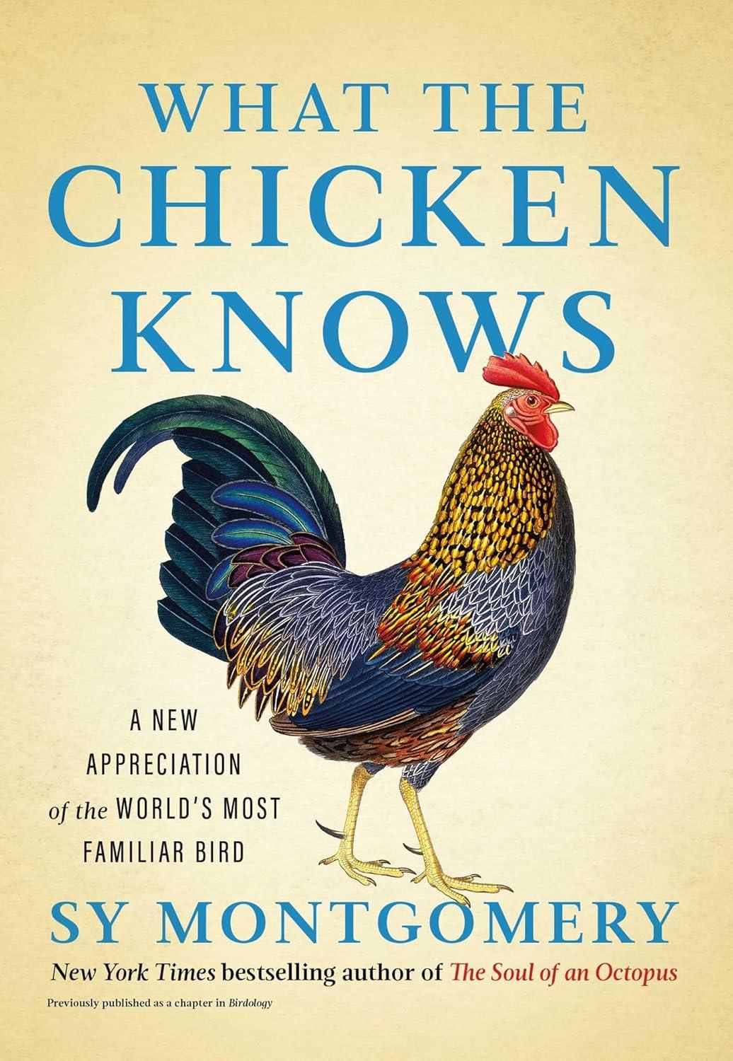 What the Chicken Knows - by Sy Montgomery (Hardcover)