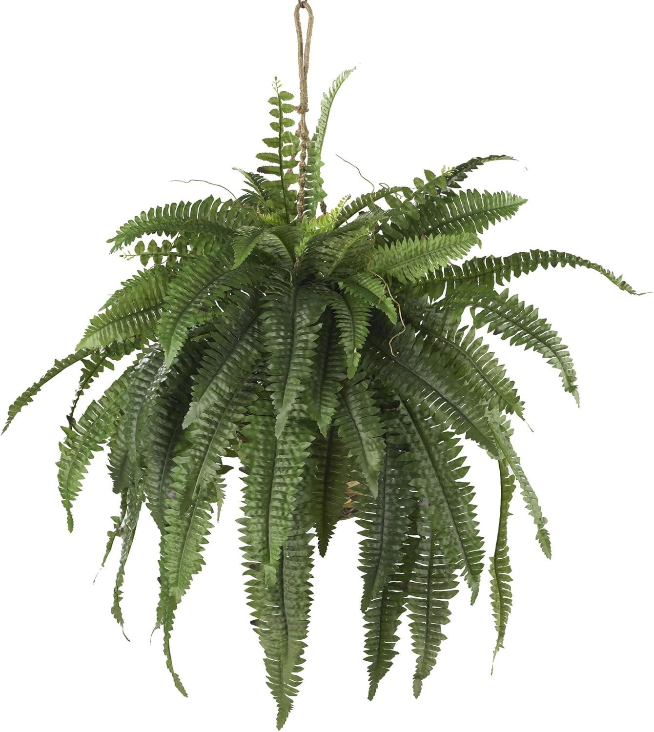 Large Green Plastic Boston Fern Hanging Basket