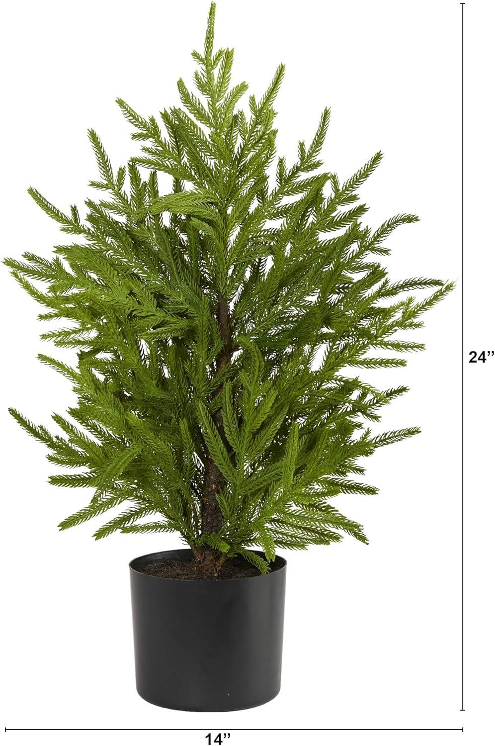 2ft Green Pine Artificial Christmas Tree in Black Planter