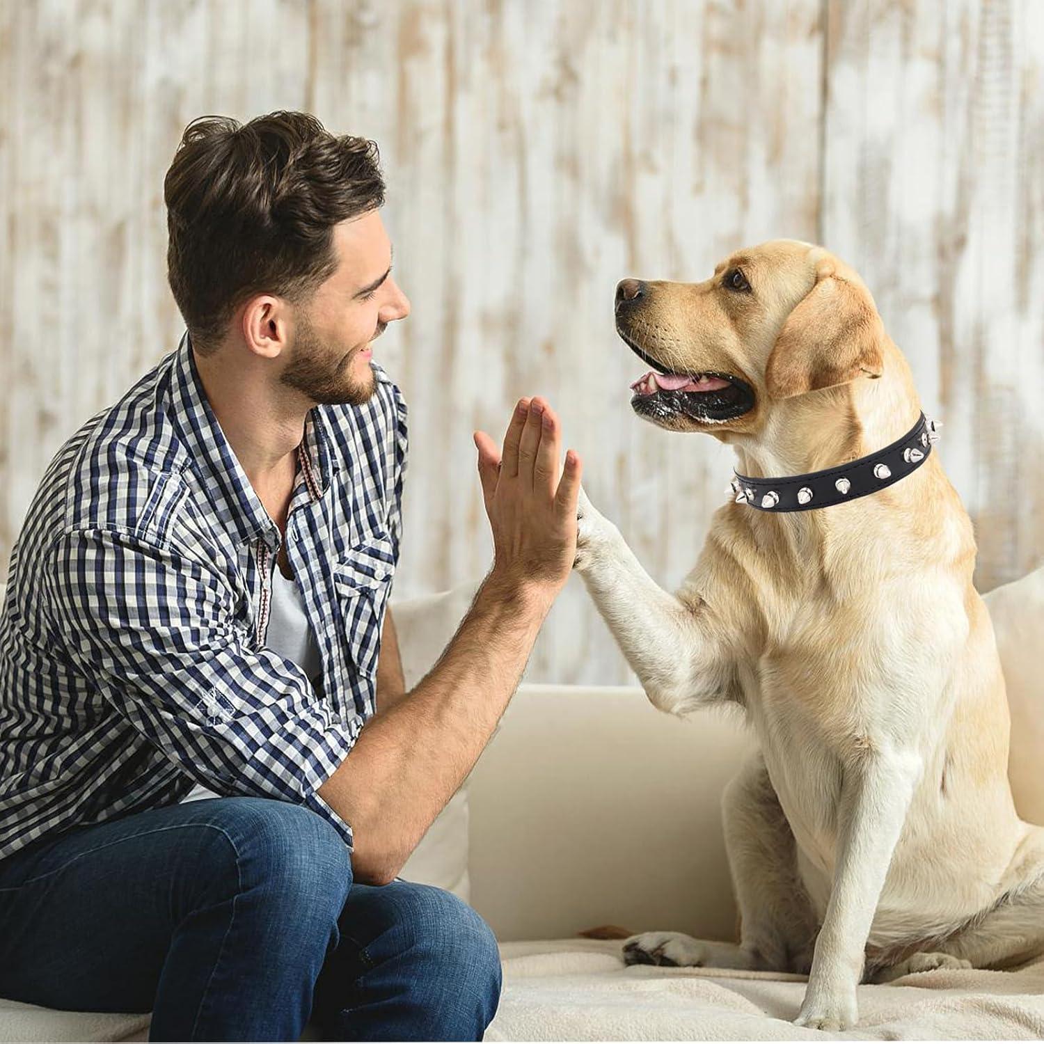 Dog Collar with Spikes,Rivet Dog Collar, Leather Spiked Studded Dog Pet Collars for Small Medium Large Dogs (L: for Neck Girth: 13 2/5-18 in, Black)
