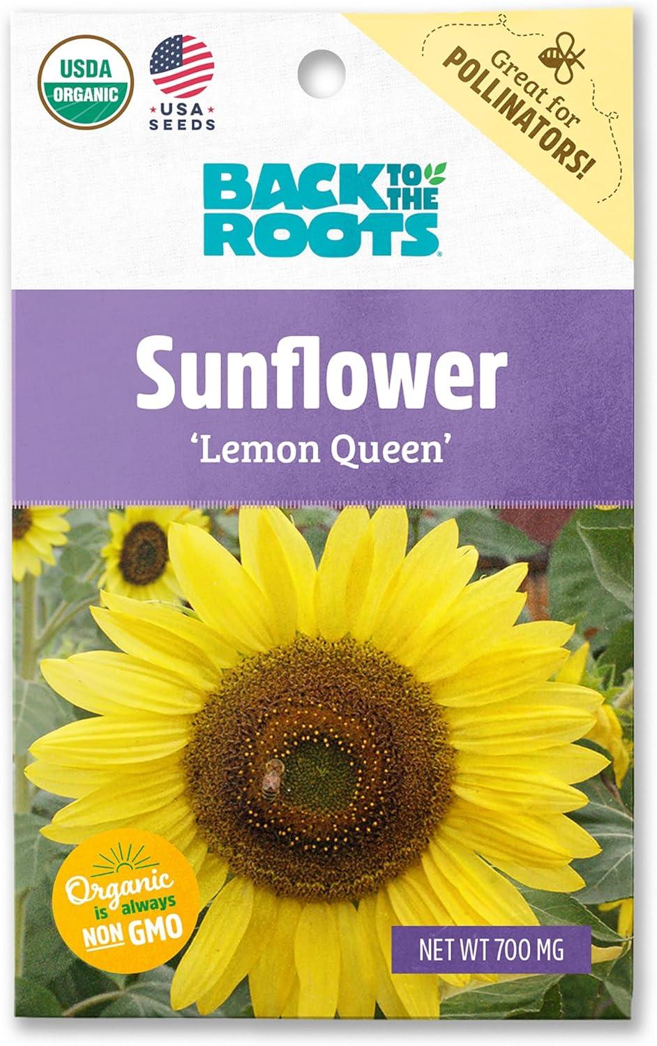 Back to the Roots Organic Sunflower 'Lemon Queen', 1 Seed packet