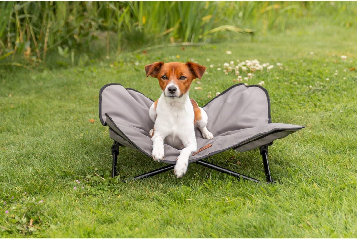 TRIXIE TRIXIE Camping Cot for Dogs, Elevated Dog Bed, Folding Padded Pet Bed, Raised Travel Lounger for Dogs