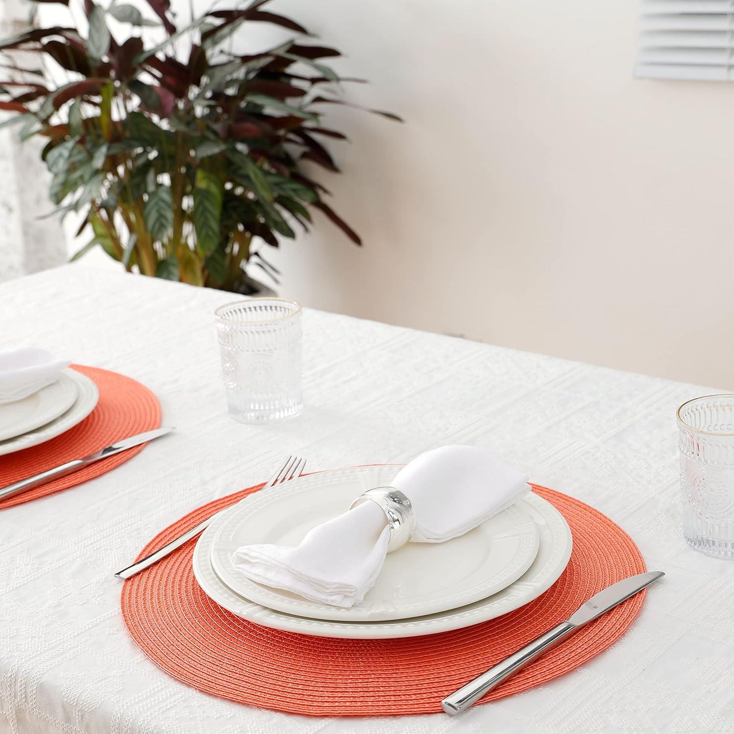 Gracie Oaks Eufracio 15" Placemat & Reviews | Wayfair