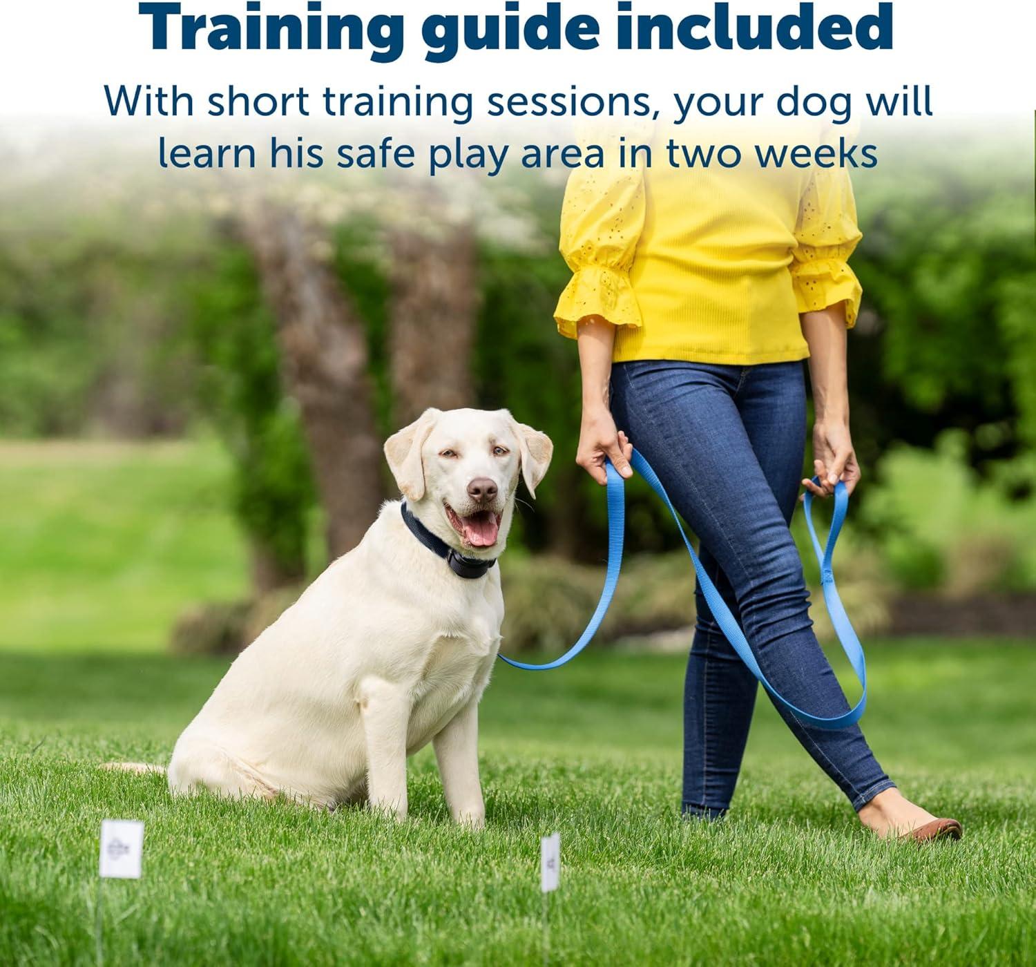 PetSafe® Stay & Play® Wireless Fence Replaceable Battery Receiver Collar