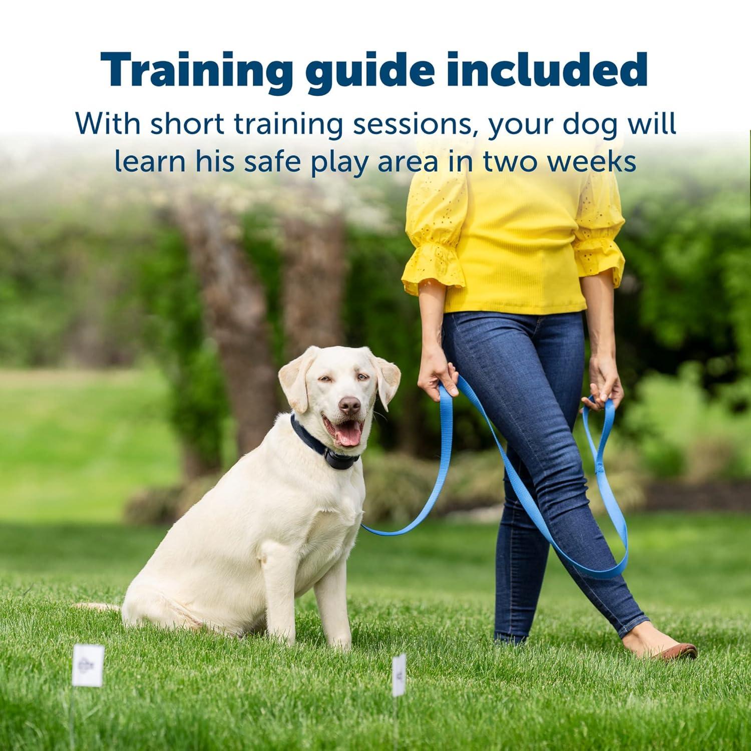 PetSafe® Stay & Play® Wireless Fence Replaceable Battery Receiver Collar