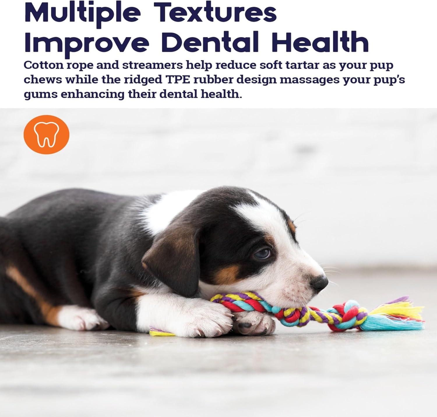 Petstages Orka Mini Dental Dog Chew Toys - 3 Pack